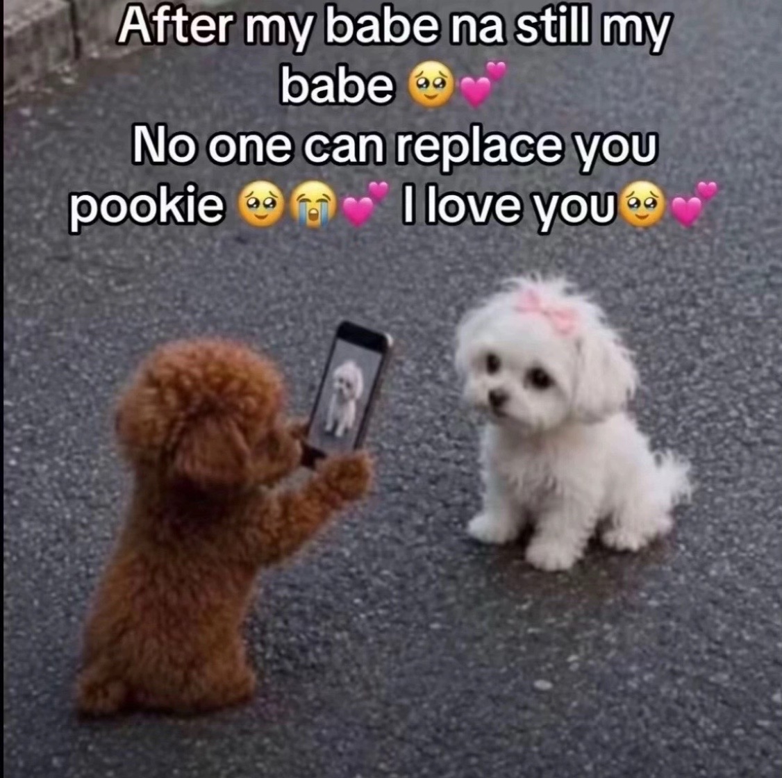 @Adewusi Maryam