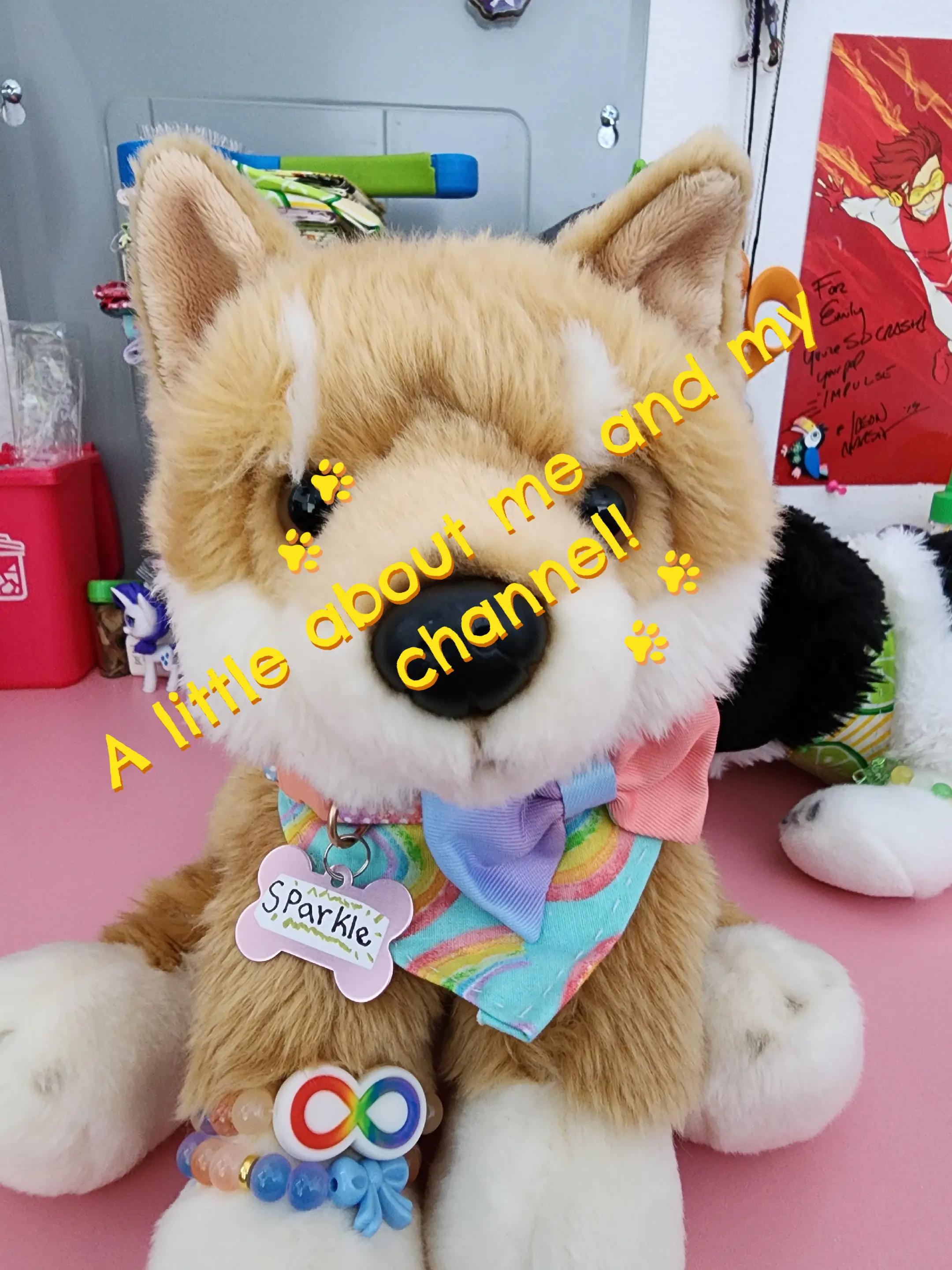 @๐ป Autistix Shiba ๐ณ๏ธ๐