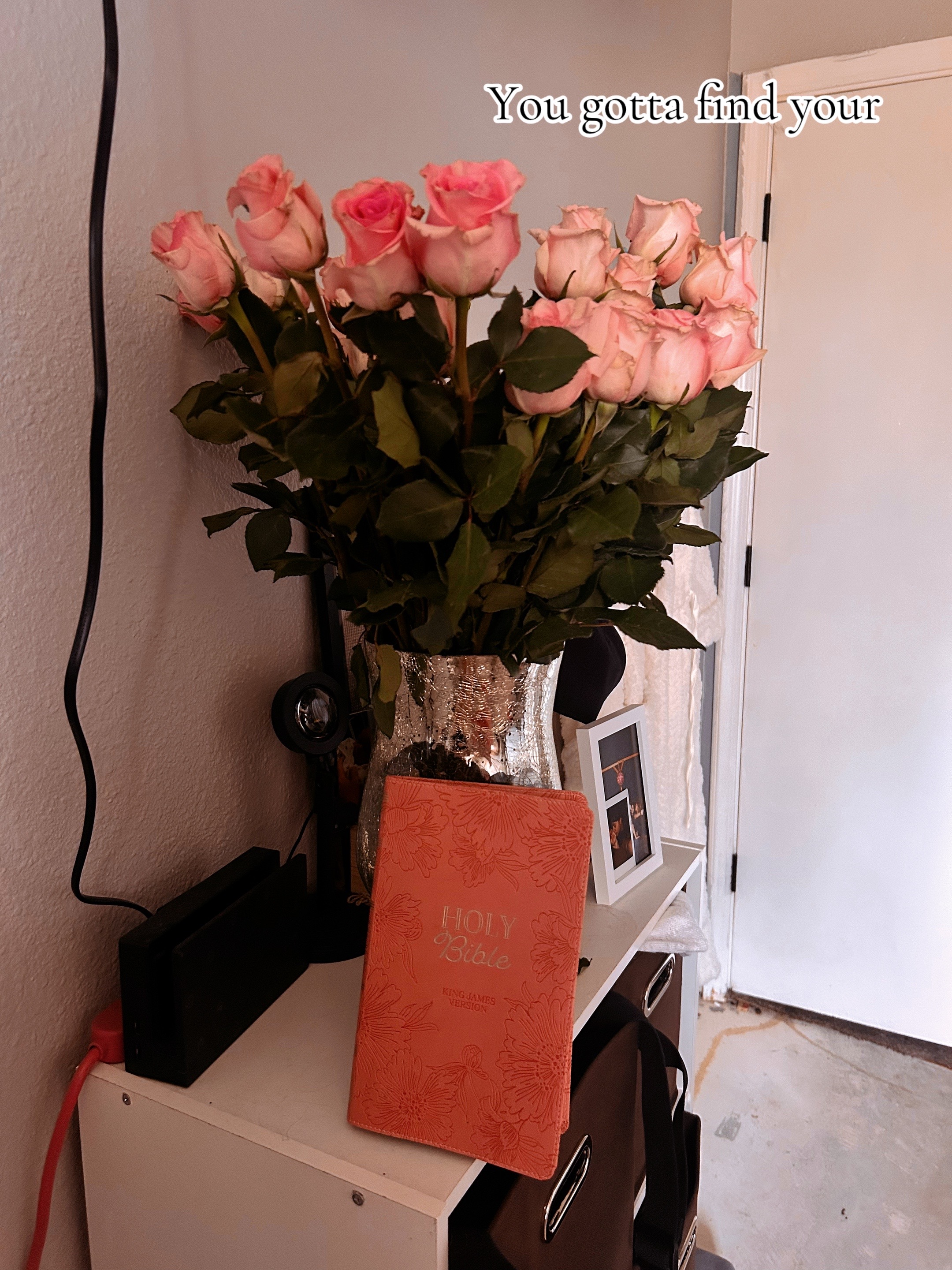 @Shira🌷.