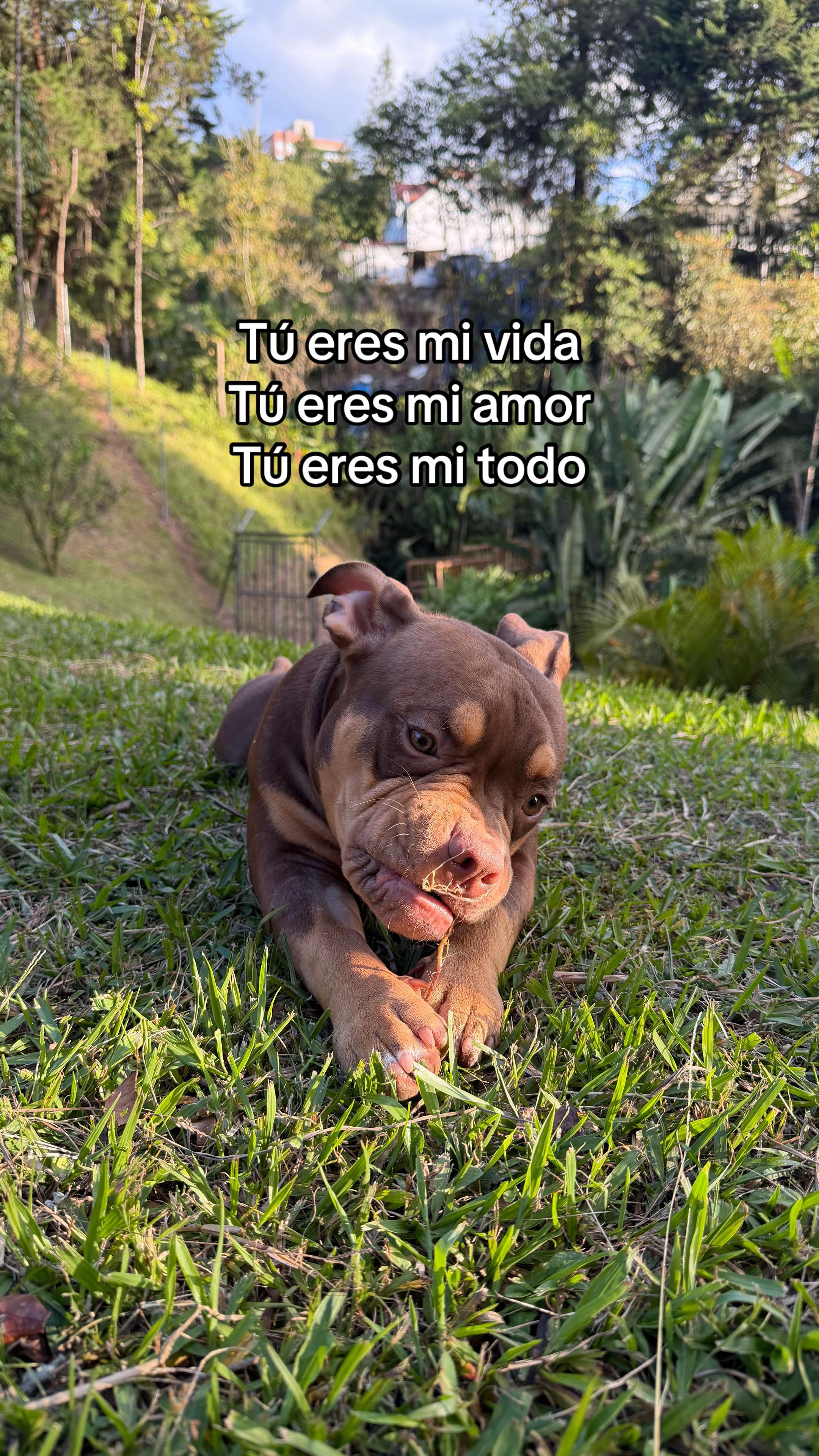 @Dahiana