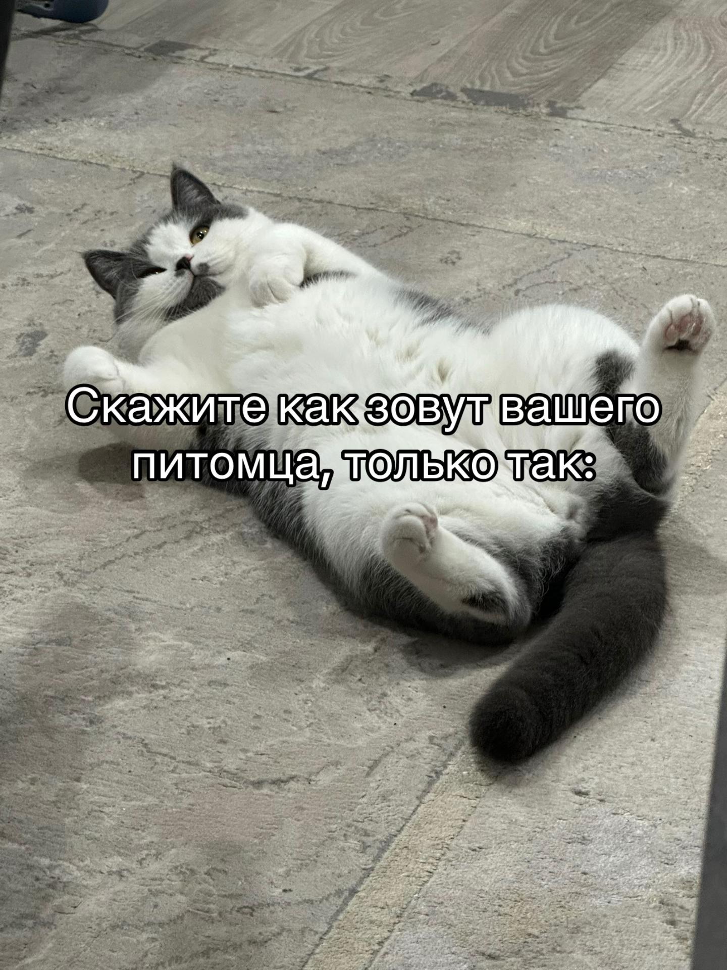 @варвар