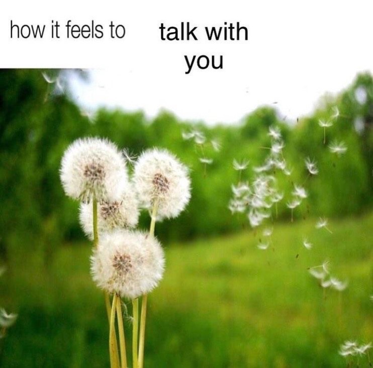 @:p ☭