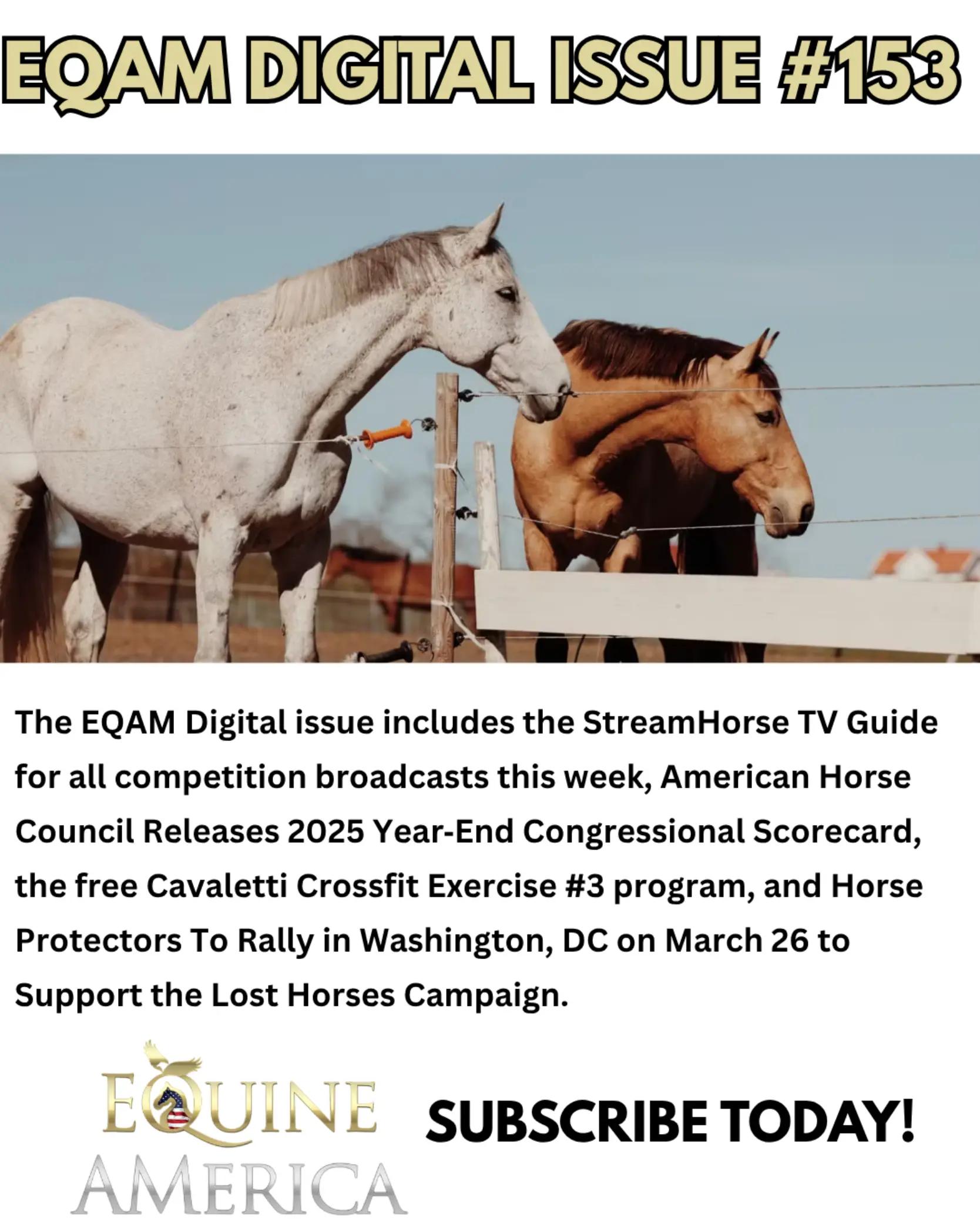 @streamhorse
