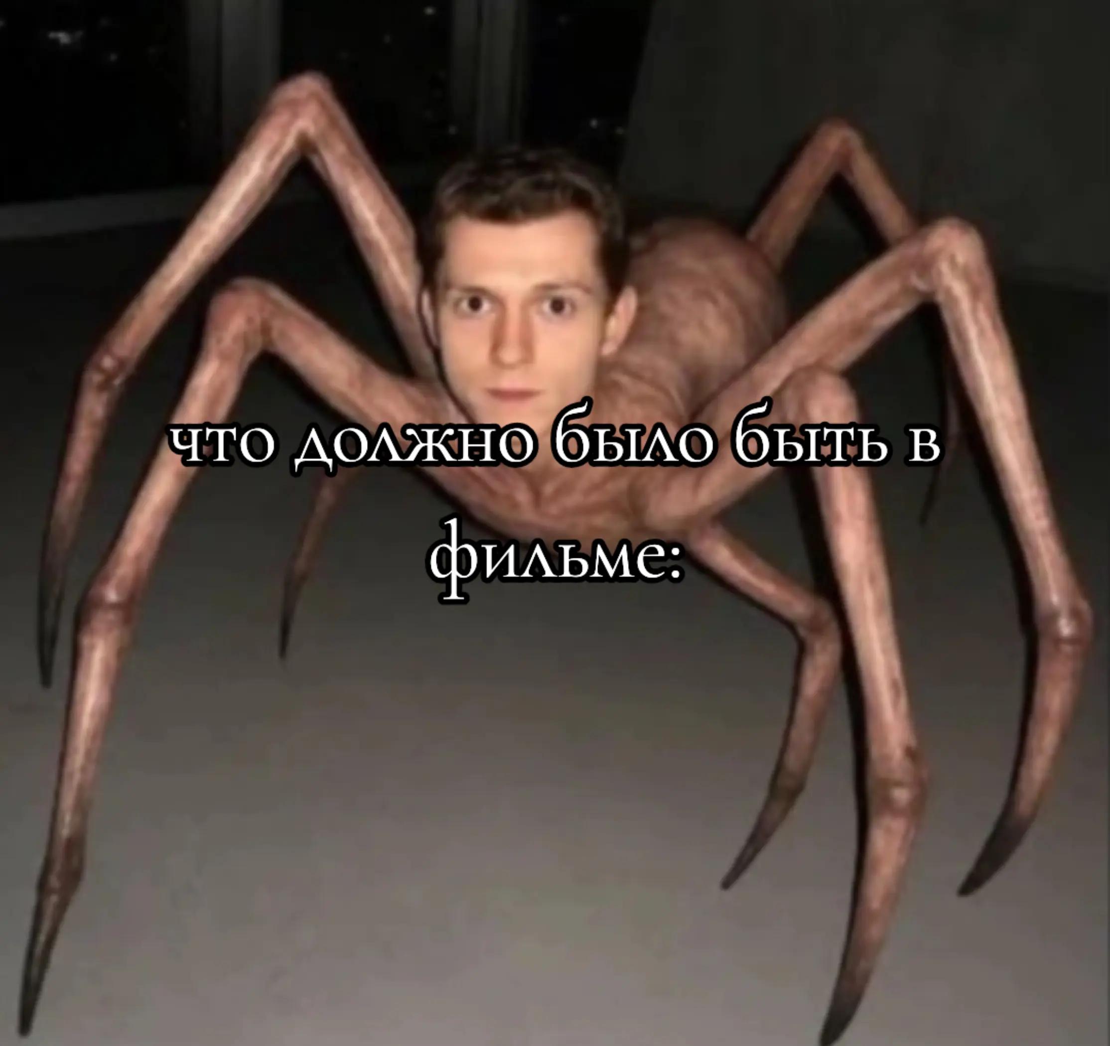@𝙾𝚌𝚑𝚞𝚖𝚎𝚌𝚔𝚒𝚢