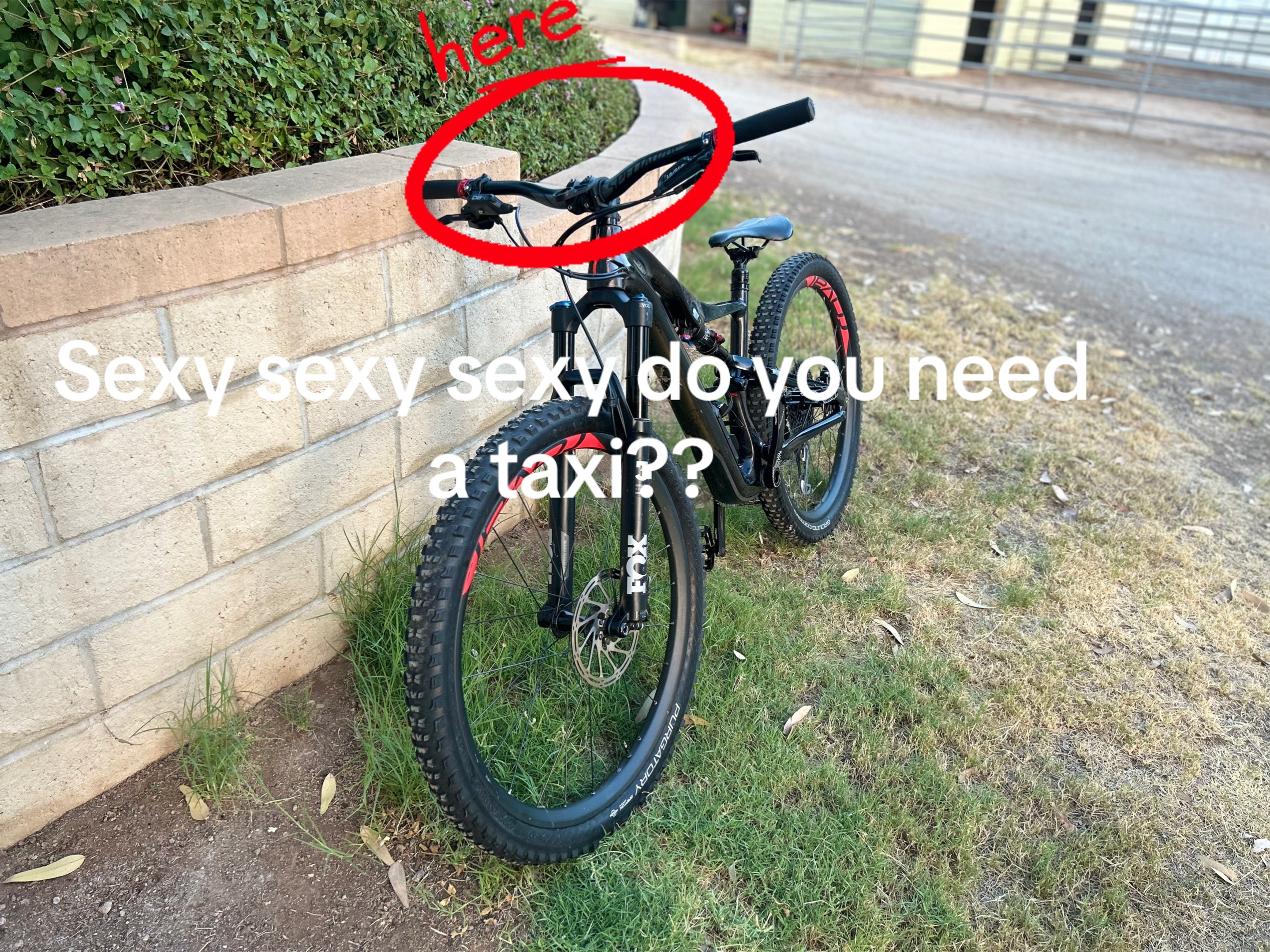 @Roman🏎️🌪️🚲