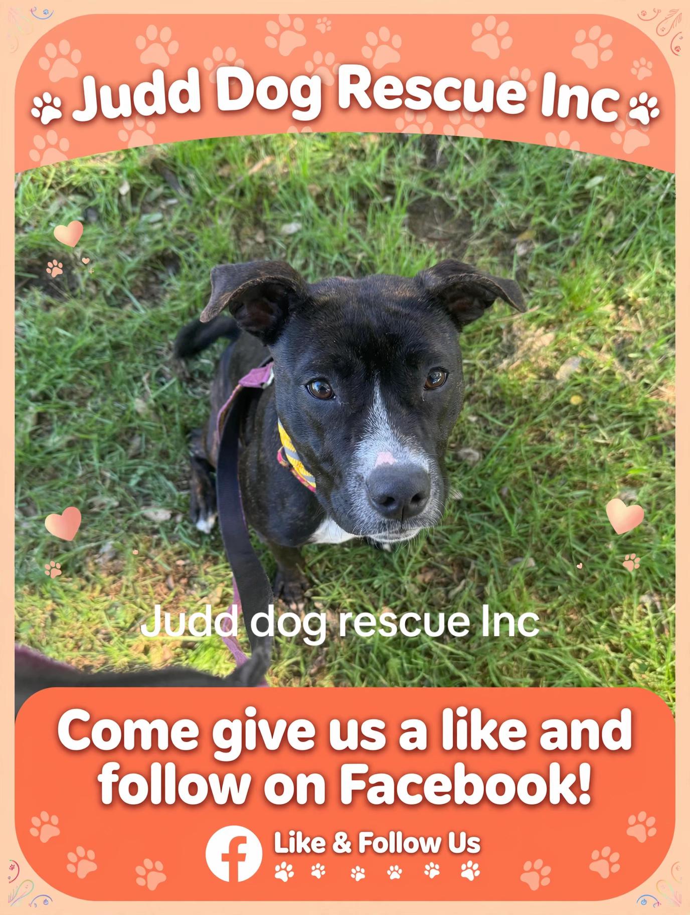 @Judd (just us deserving dogs)
