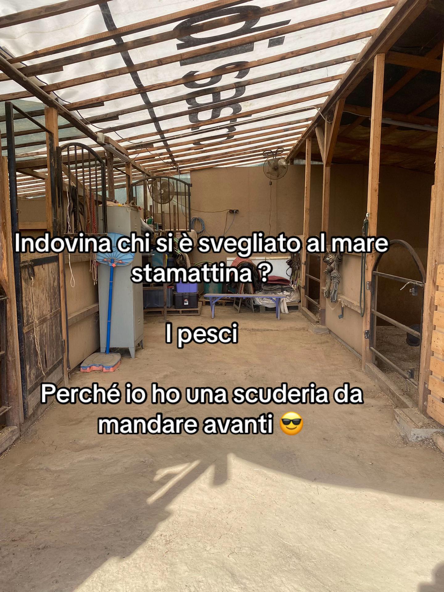 @Ponyclubilgattoelavolpe