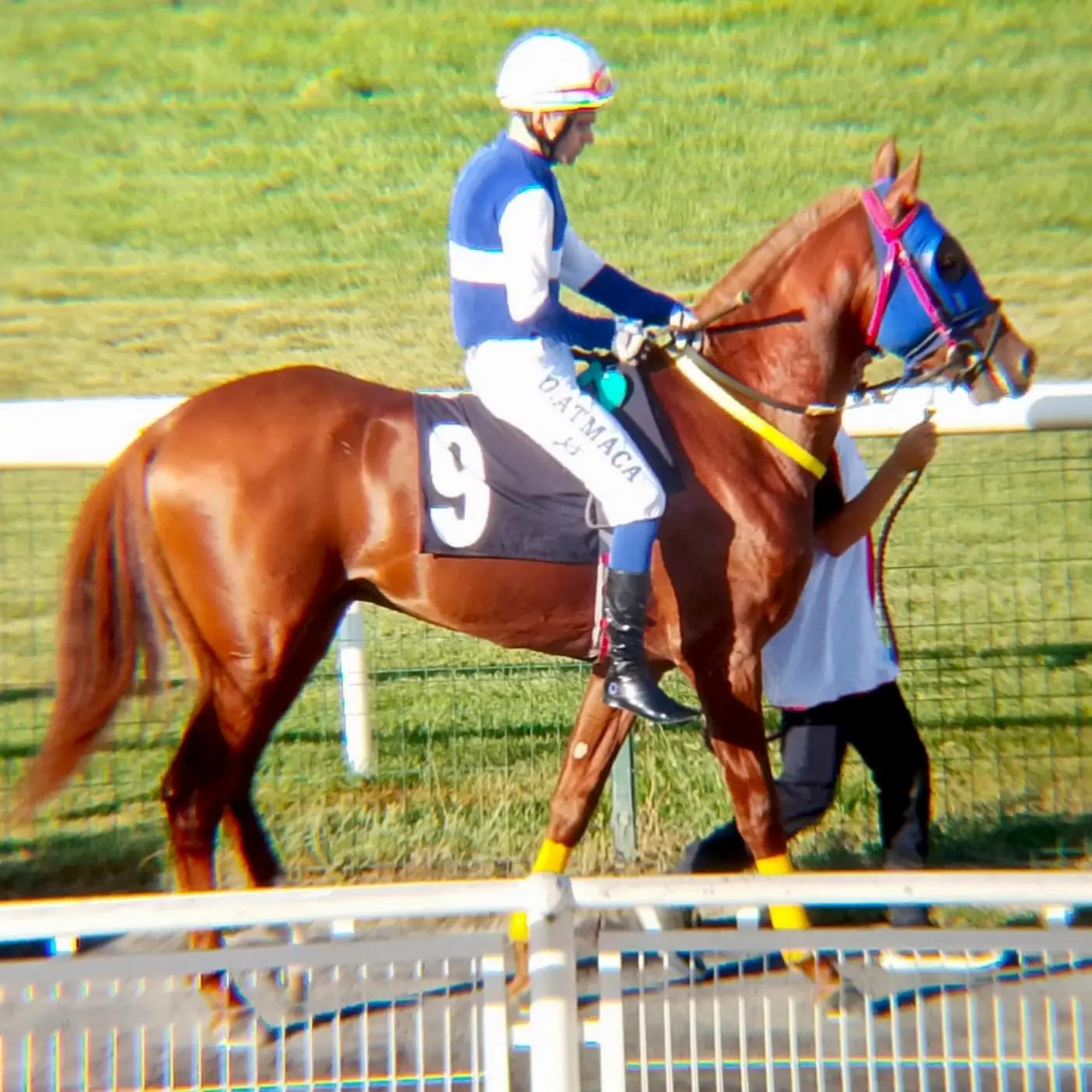 @brs horse racing