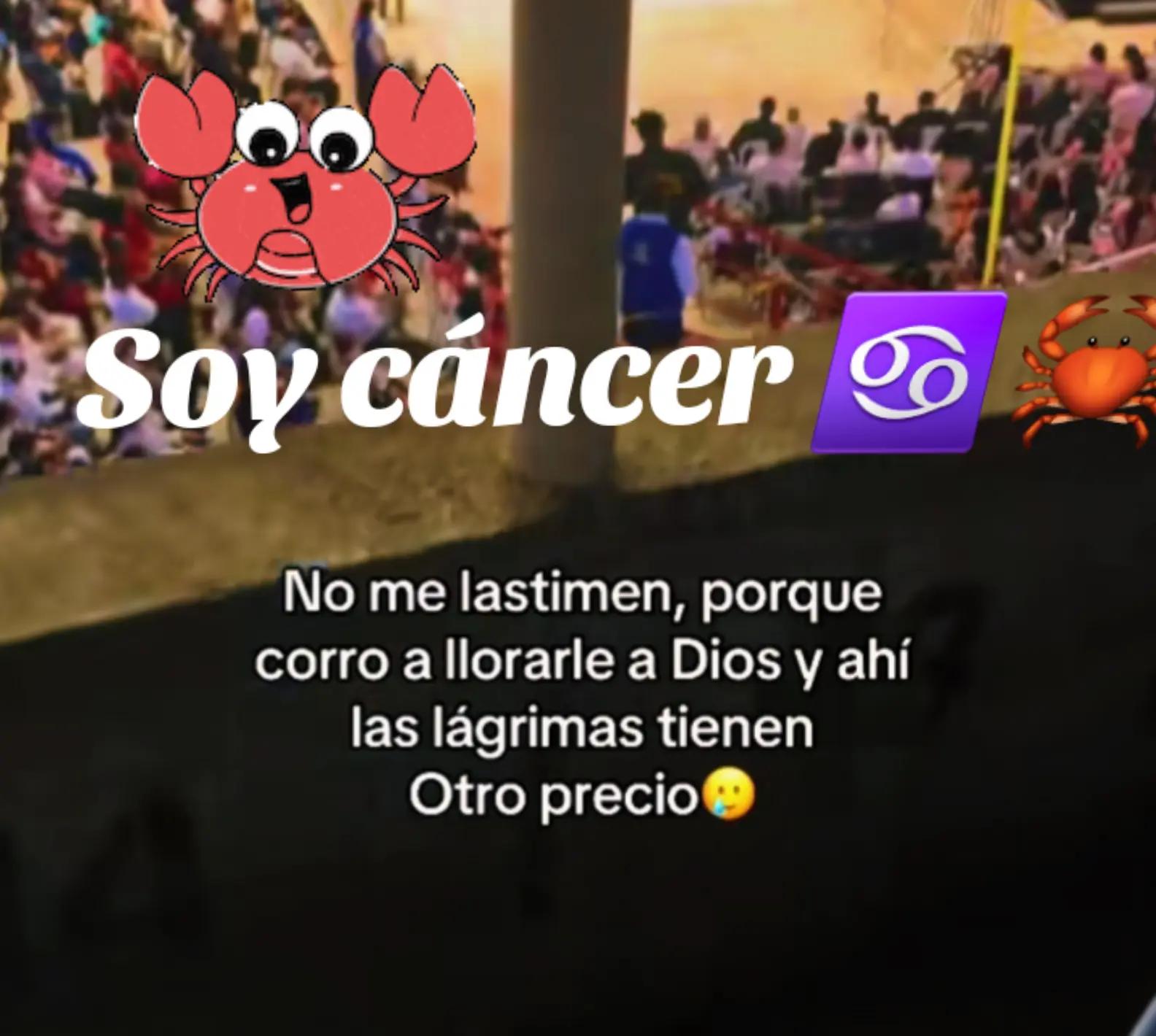 @💯Caminante  Virtual 👌