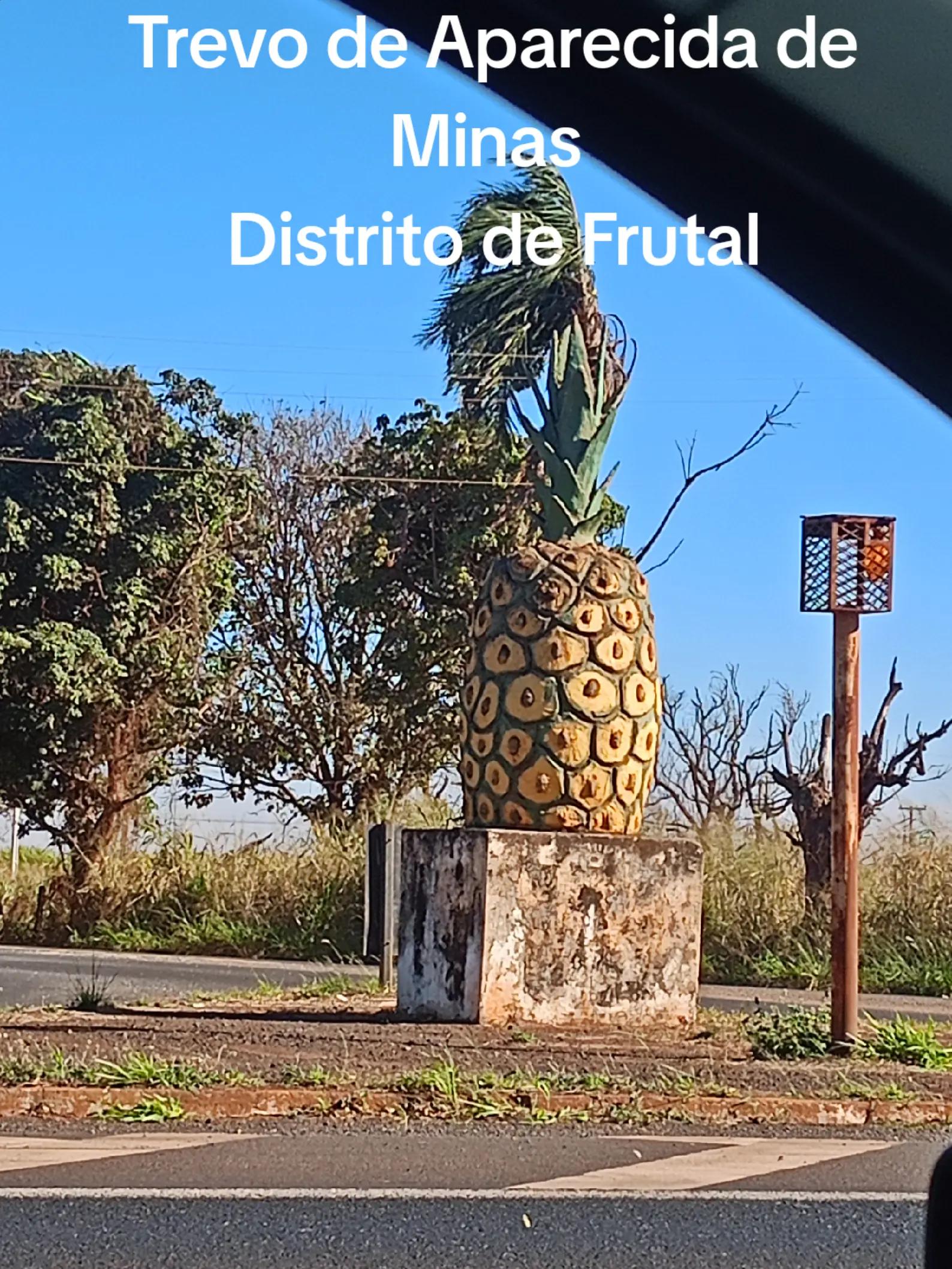 @Adriana Aparecida Si