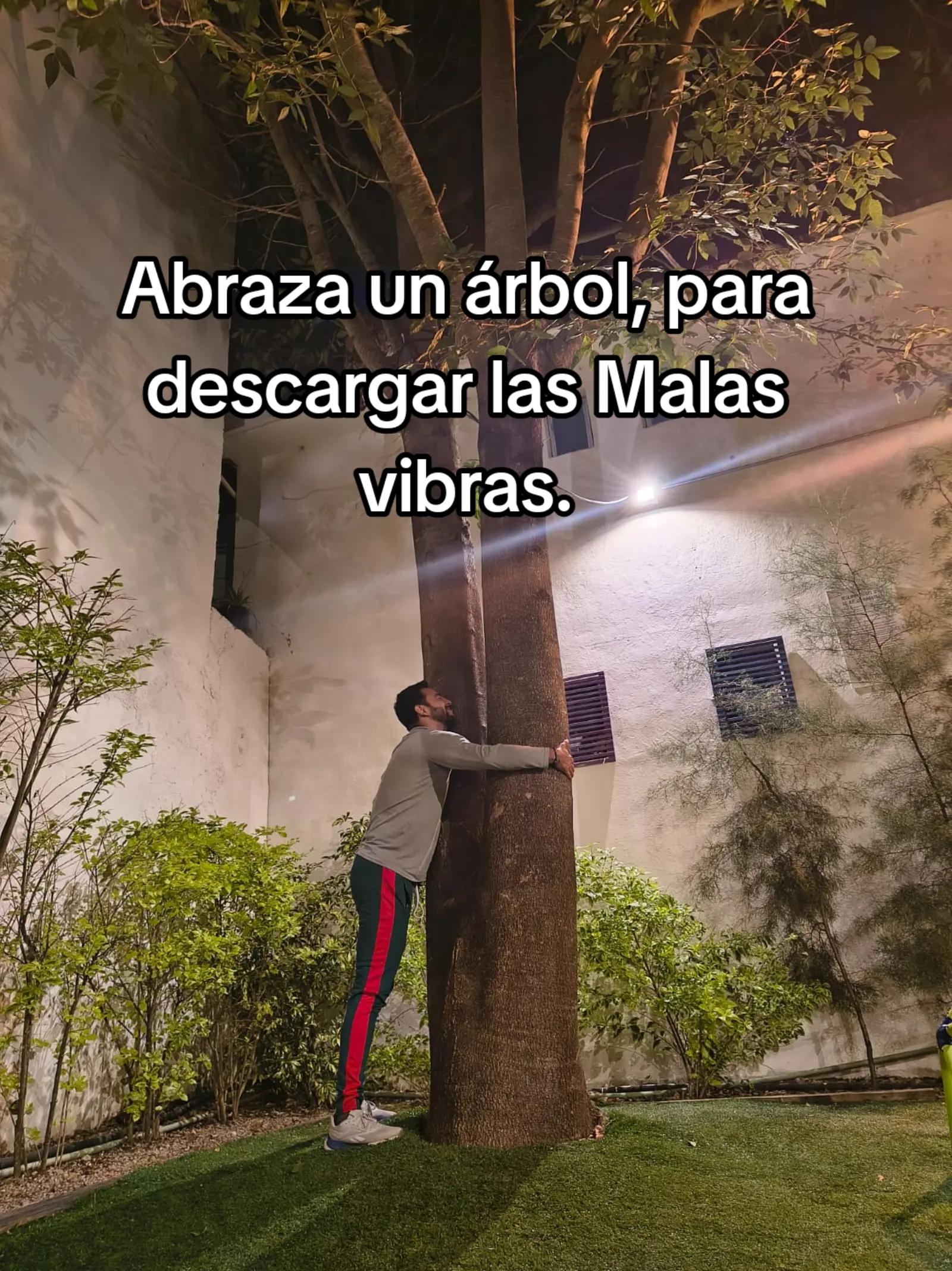 @Aldo Melgar76