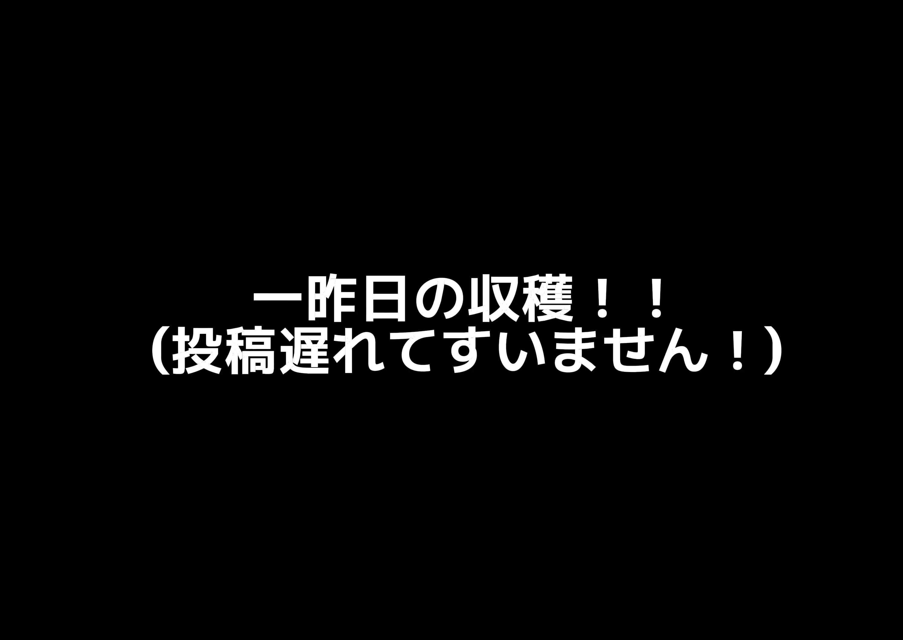 @yuuki629🎮️🎧