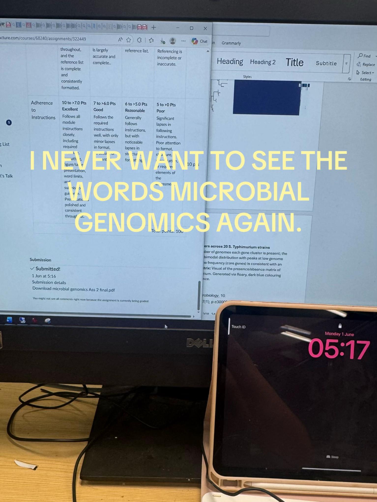 @ab