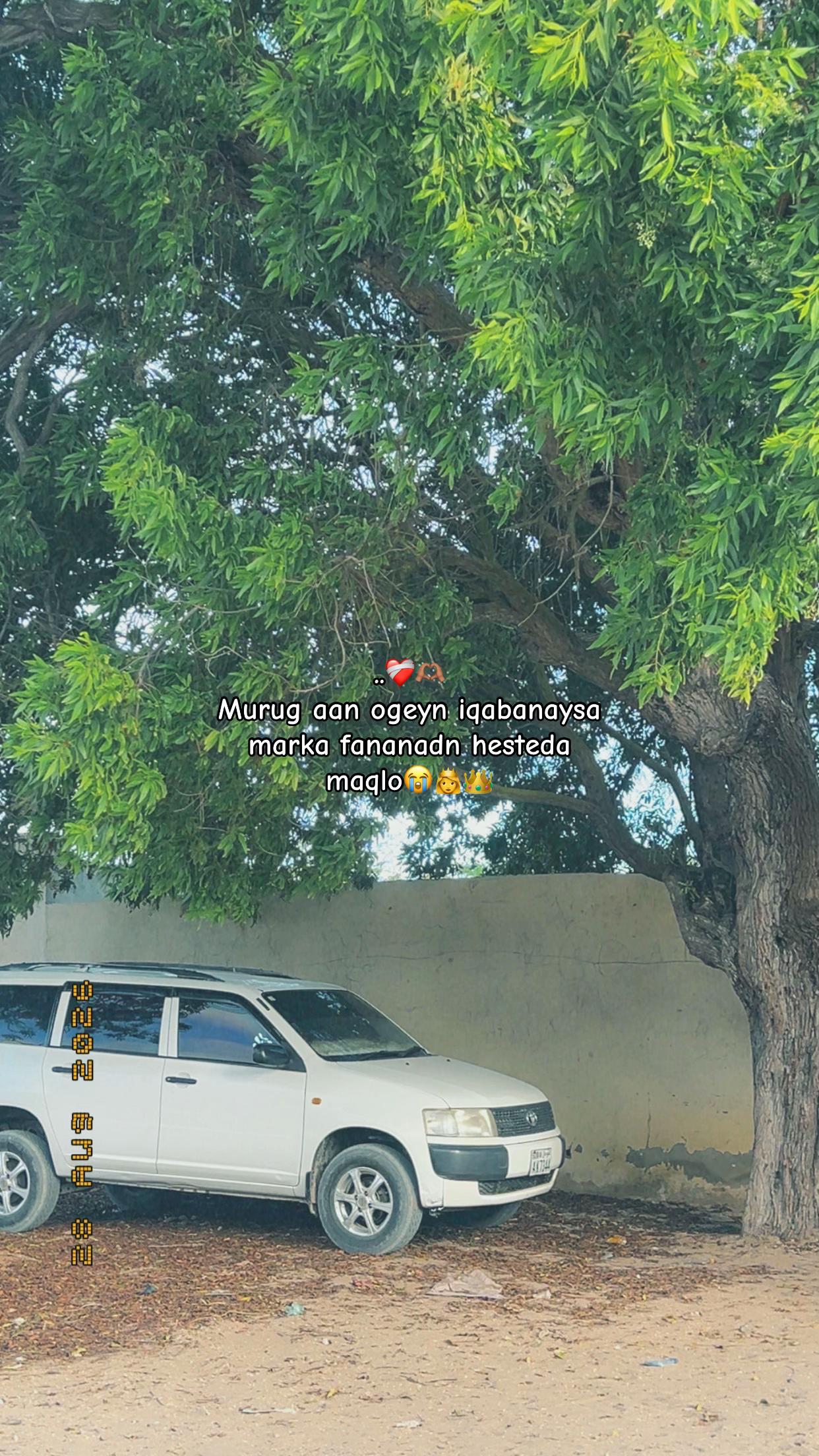 @ᒪᙀKITᗩ 🧣🦕👨&zwj;🎤