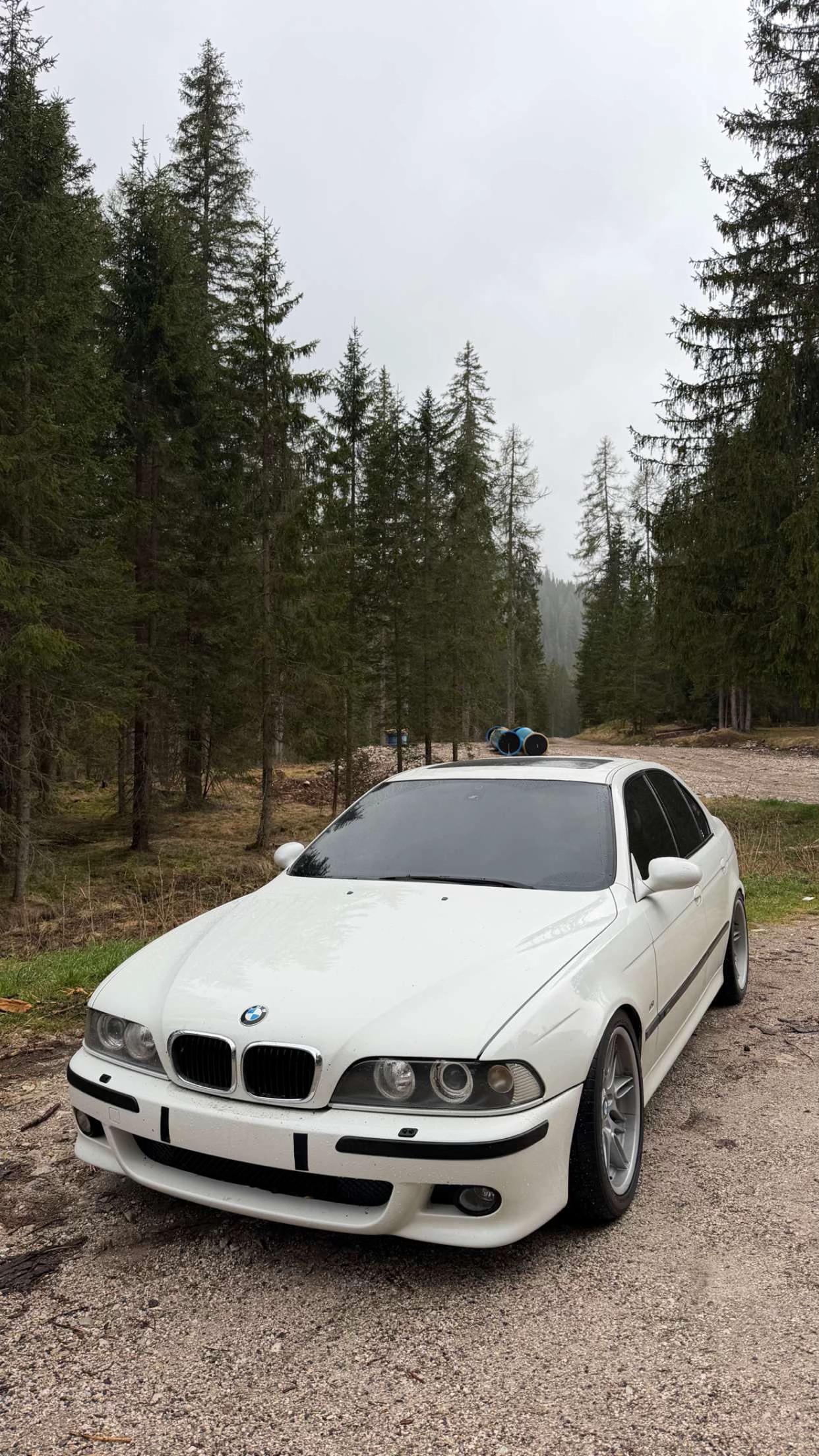 @OG schaefchen.fp