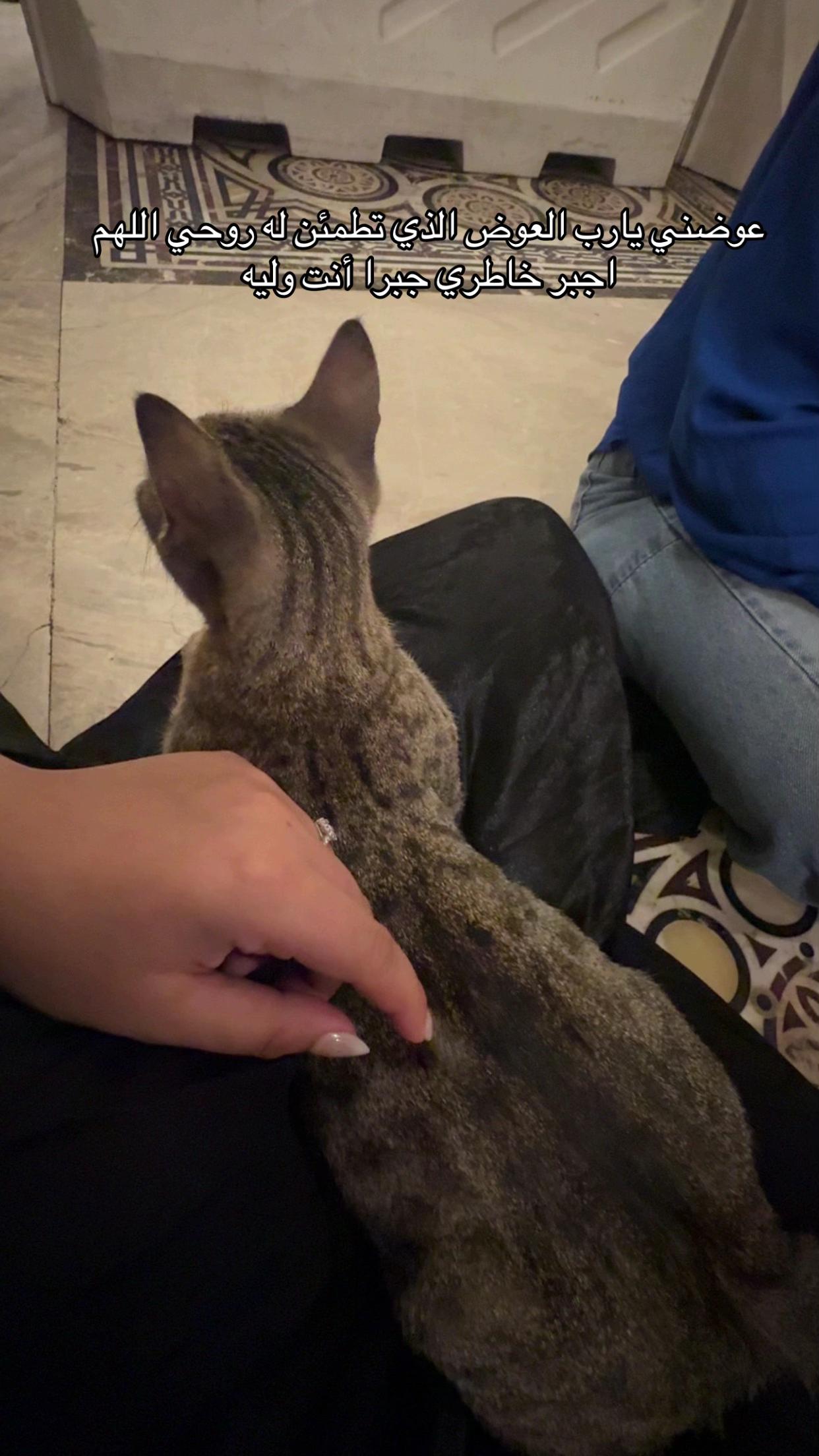 @𝐑𝐨𝐳𝐲💞