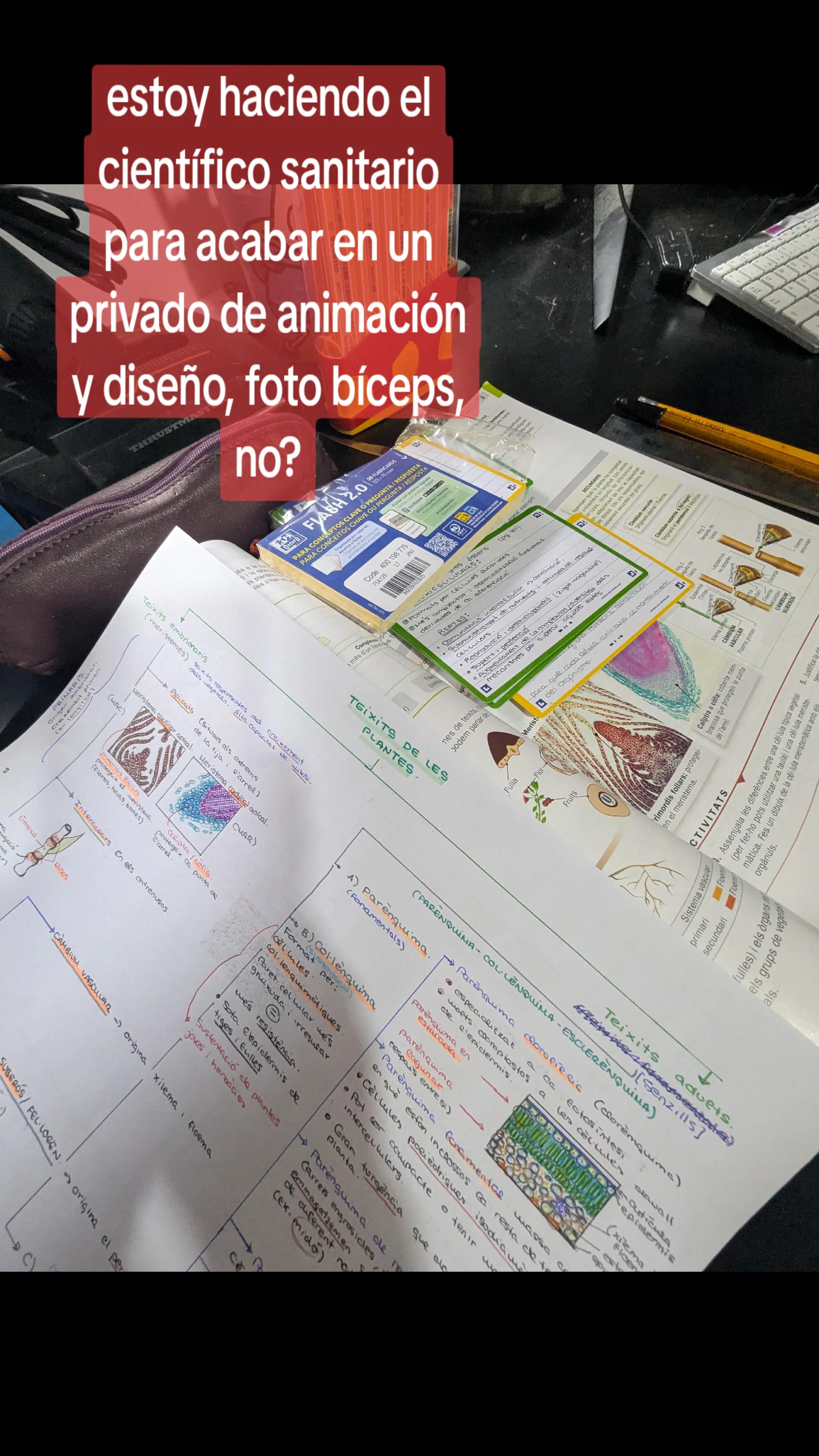@Gelaii