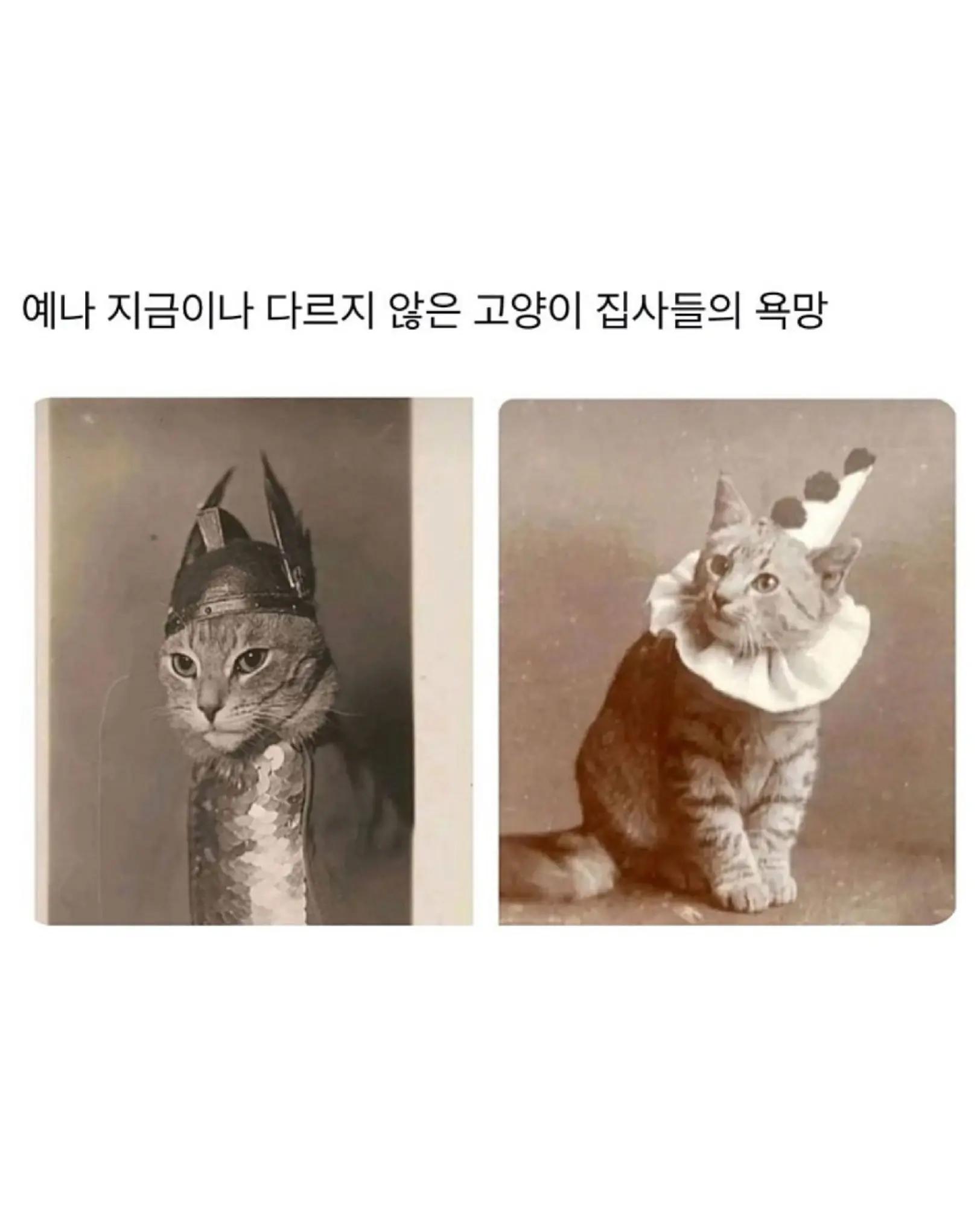 @로이젤