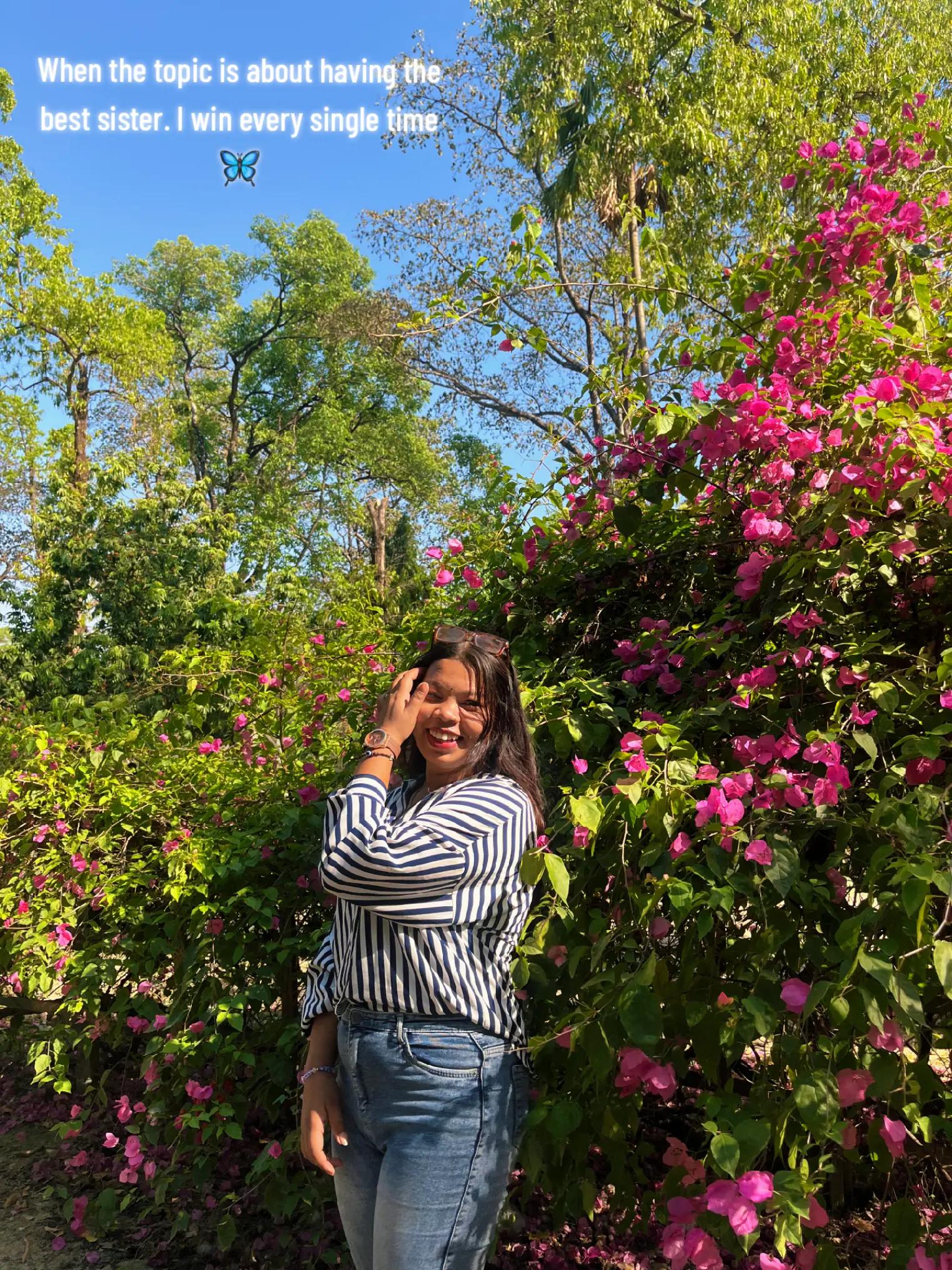 @Ms Tulsi 🌷