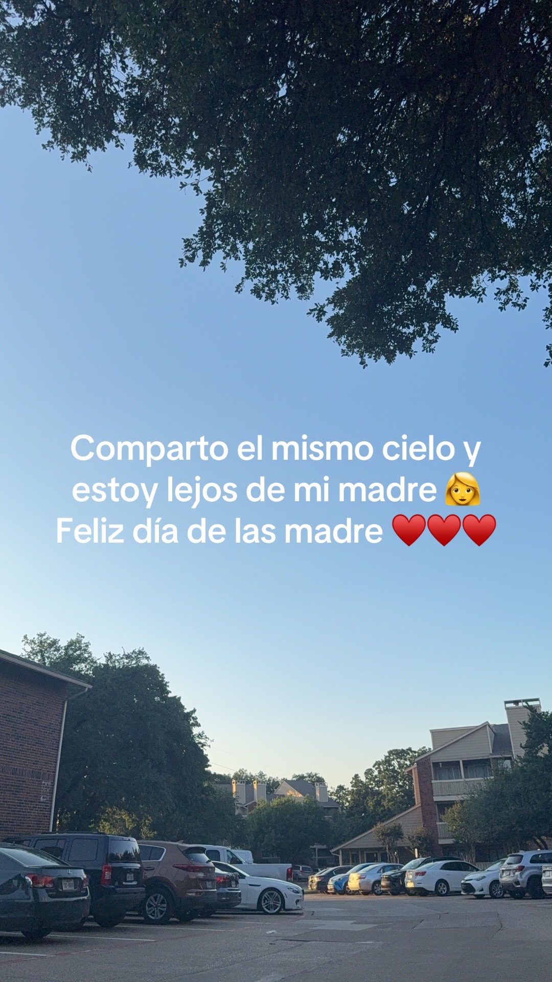 @Mulaticachula