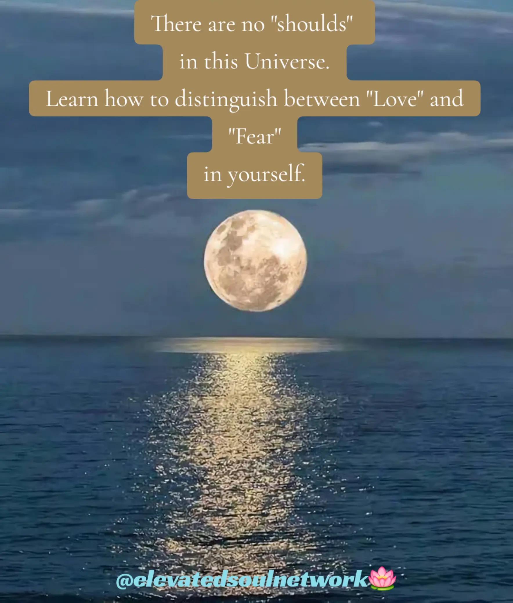 @Elevated Soul Network