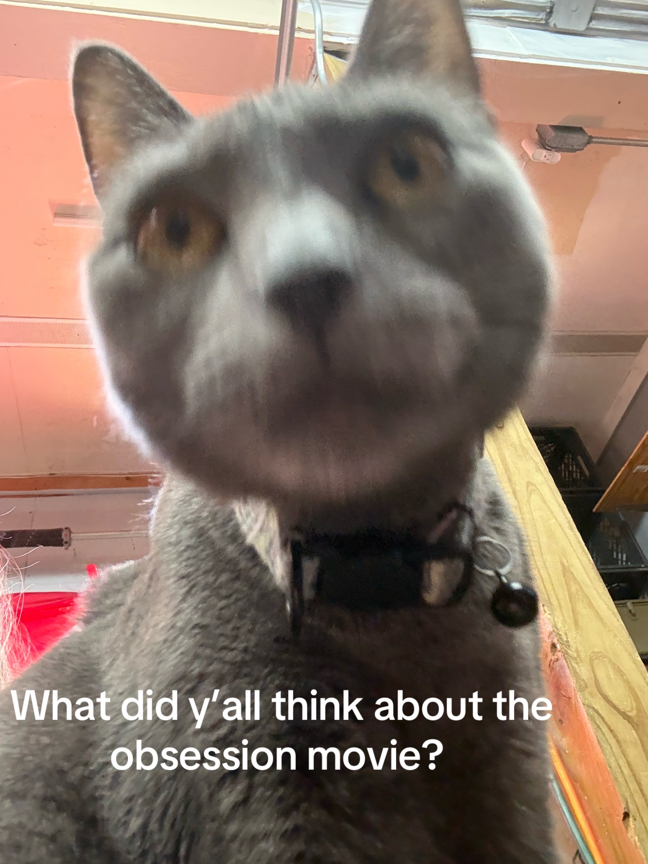 @Kay