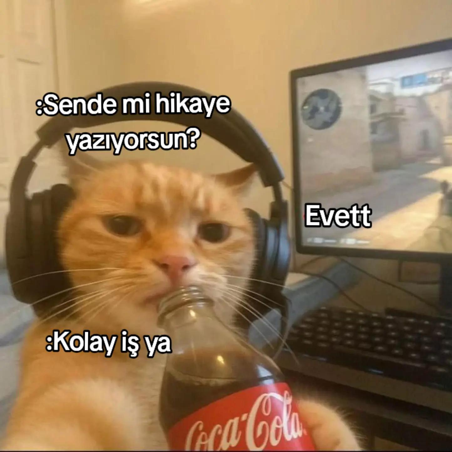 @elossmuskiineee