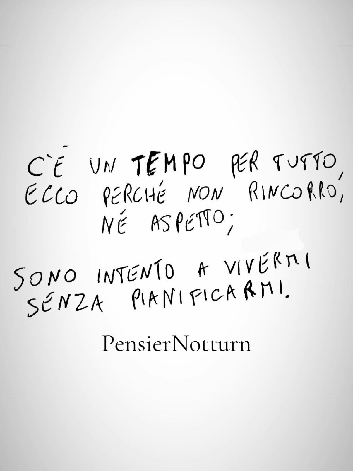 @user19351573973