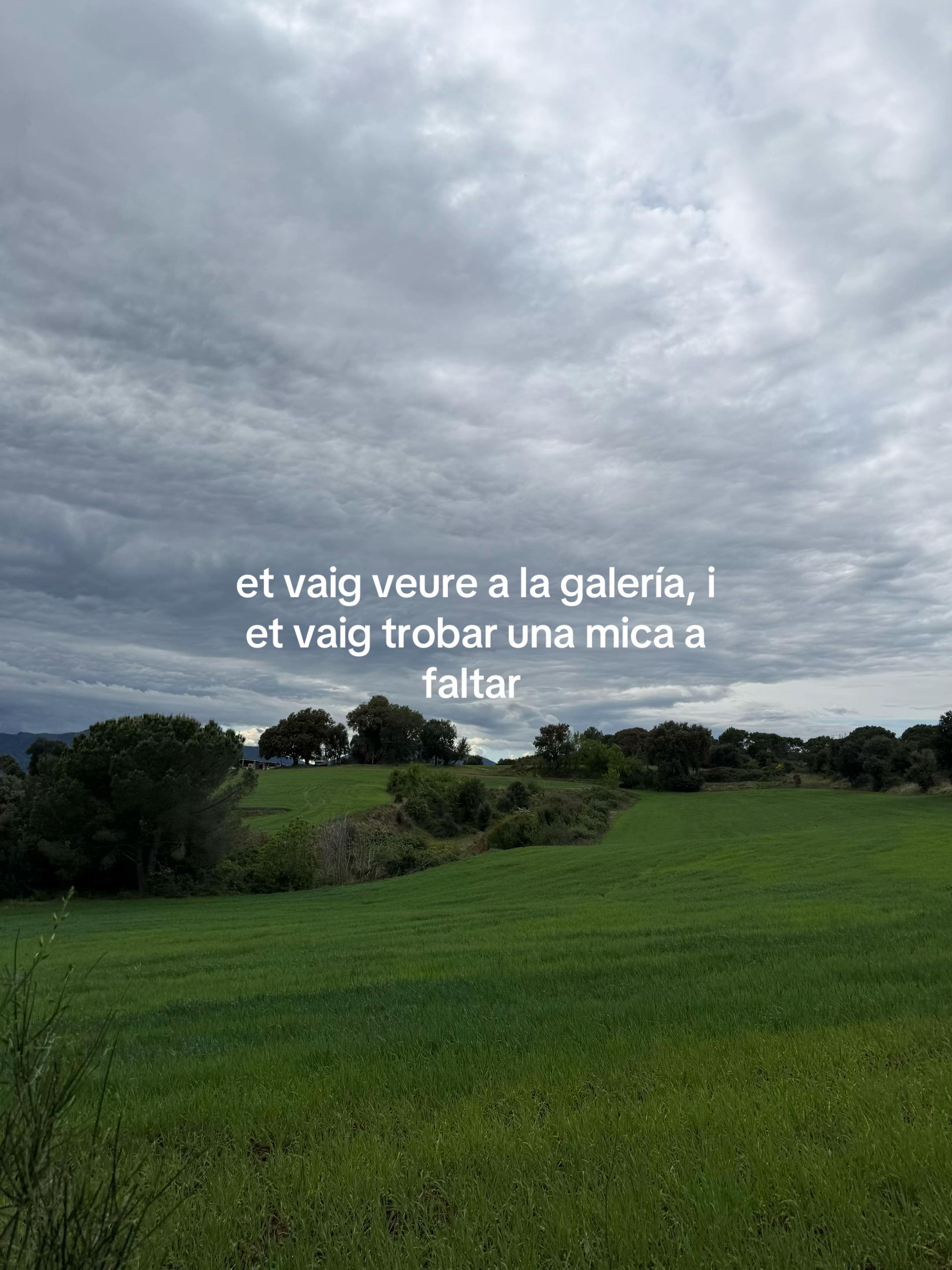@Marina Gibert