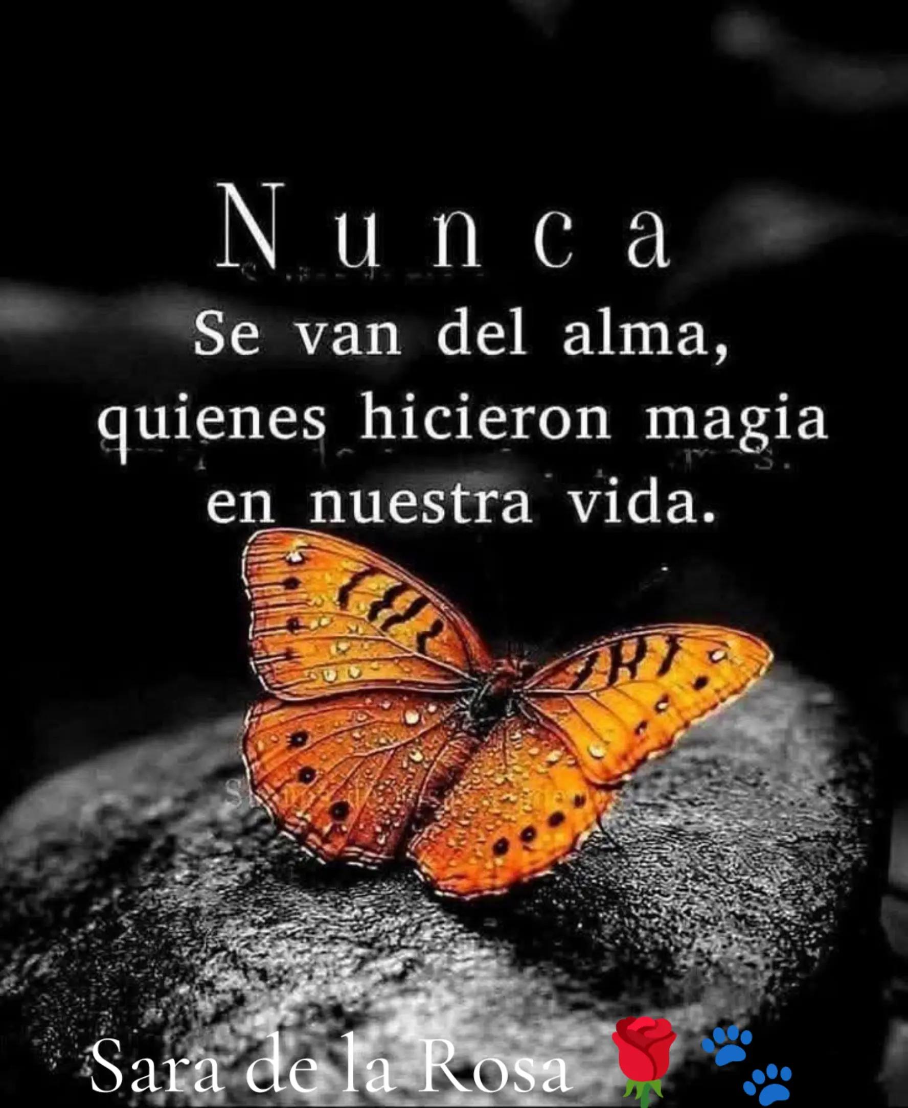 @Chaparrita ☺️❤️🧡💛🩵💙💜2025