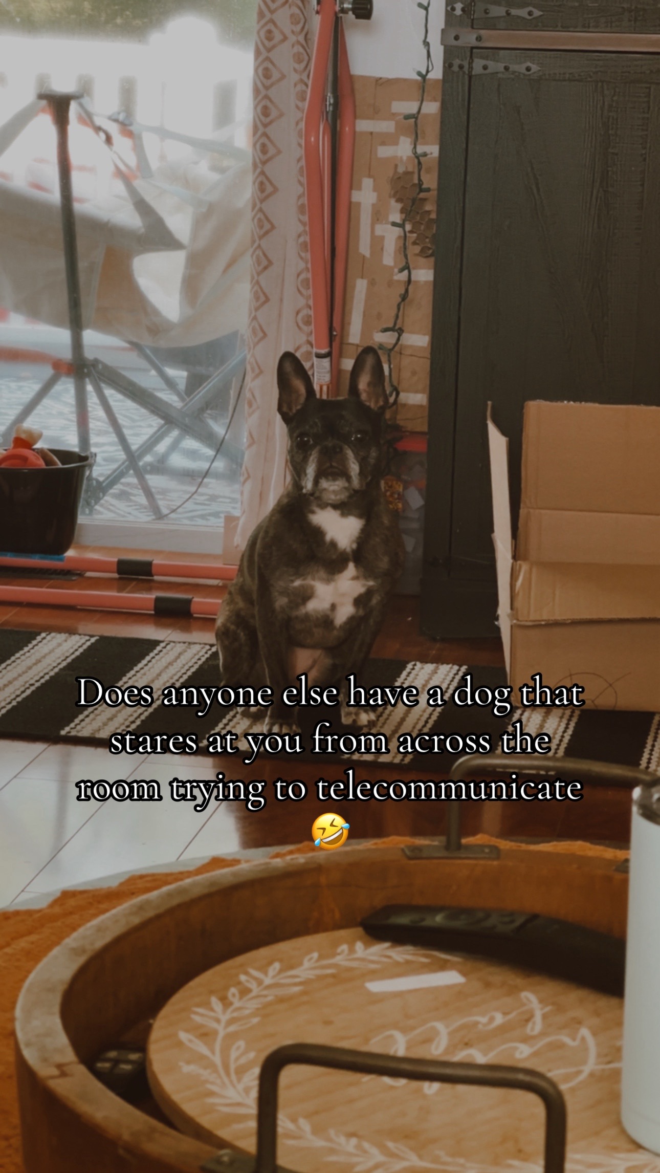 @๐๐ข๐ฅ๐๐ก๐๐ฏ๐๐งโงหโโง๐