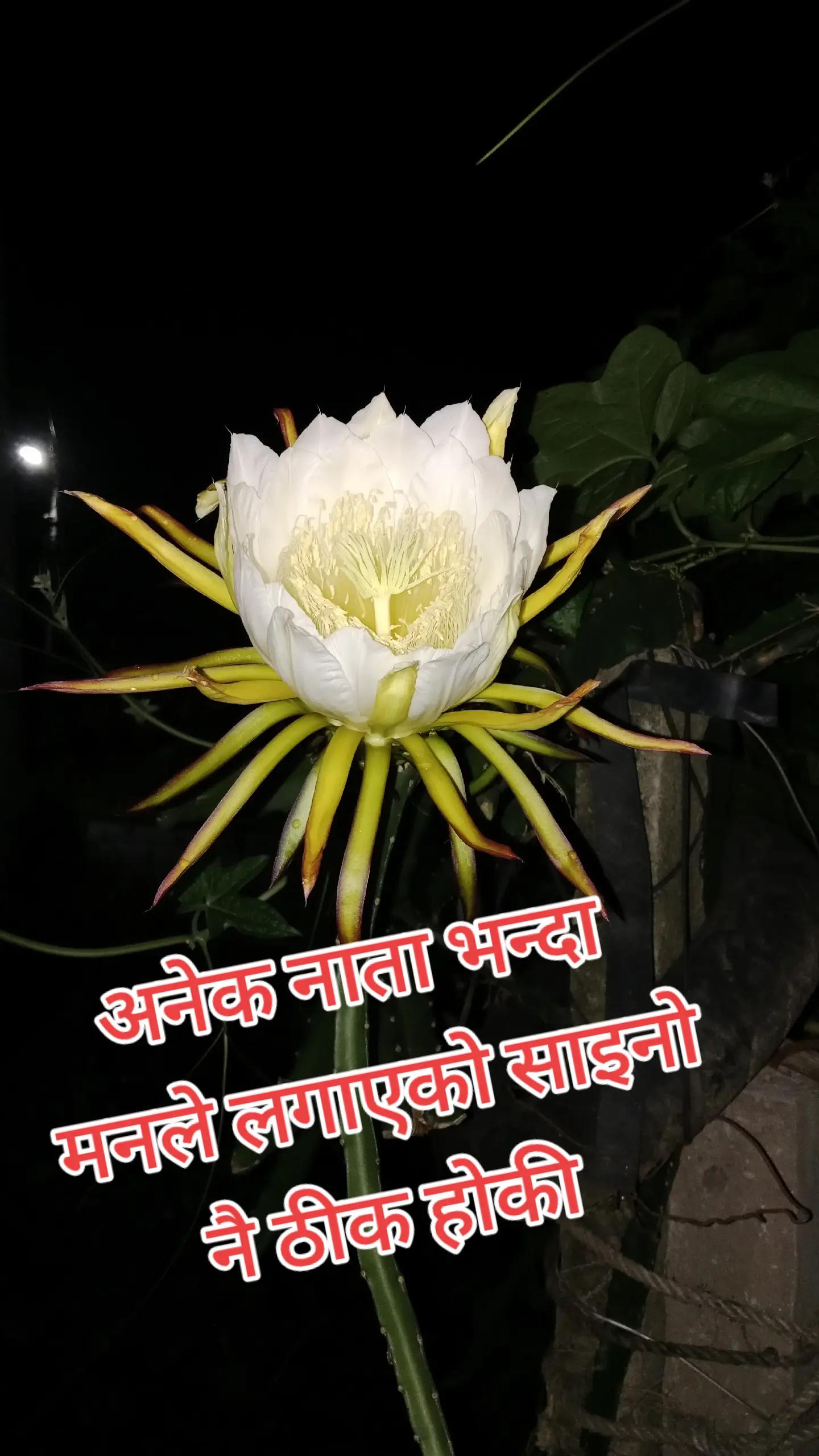 @Digitalmuskan