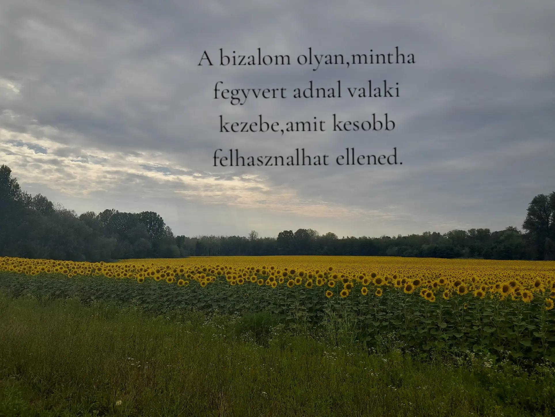 @𝓐𝓷𝓷𝓪