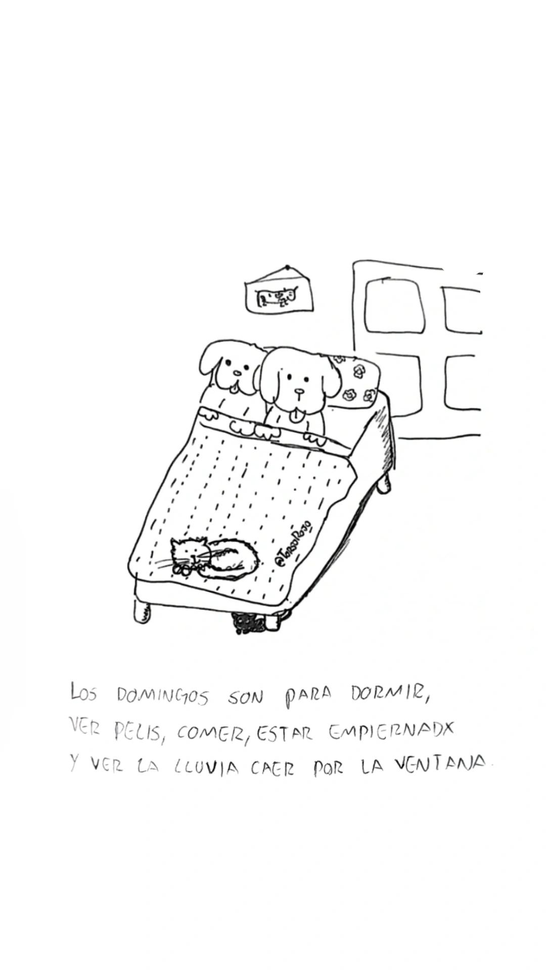 @TorsoRojo