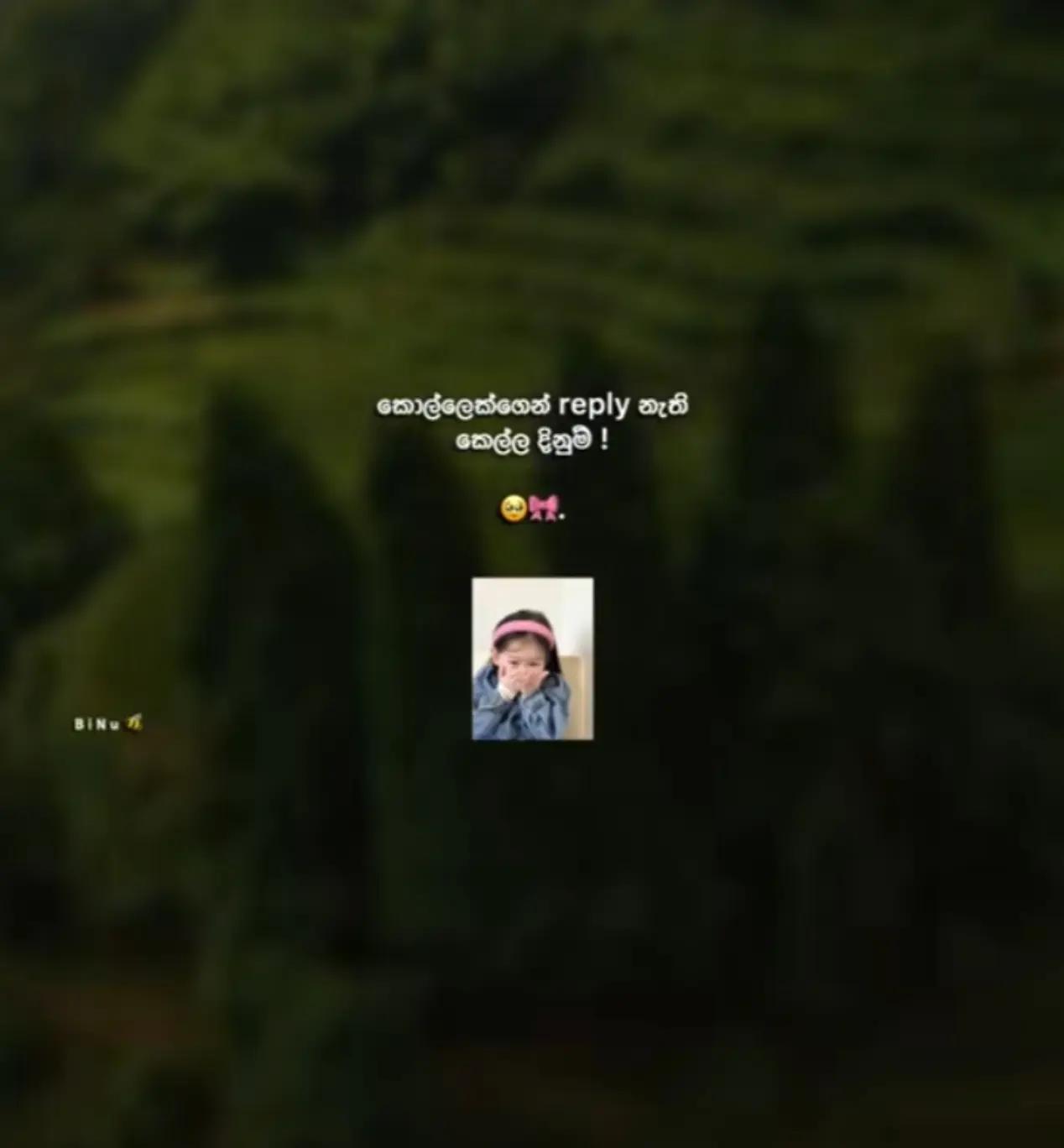 @° ᥫ᭡_ηιѕнυ _gυяℓ ☁️🦋 !! "