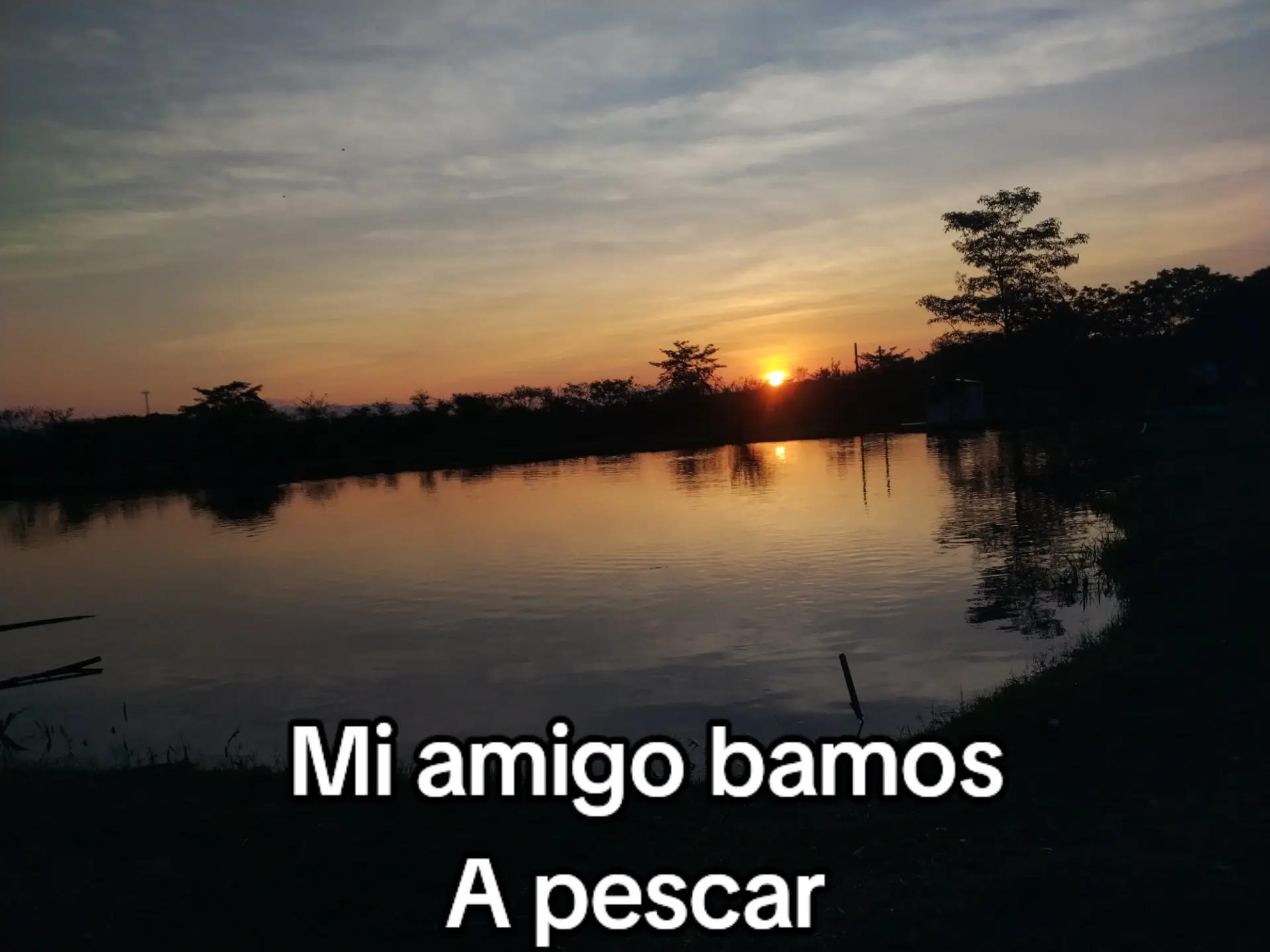 @🐥 Juan🐣
