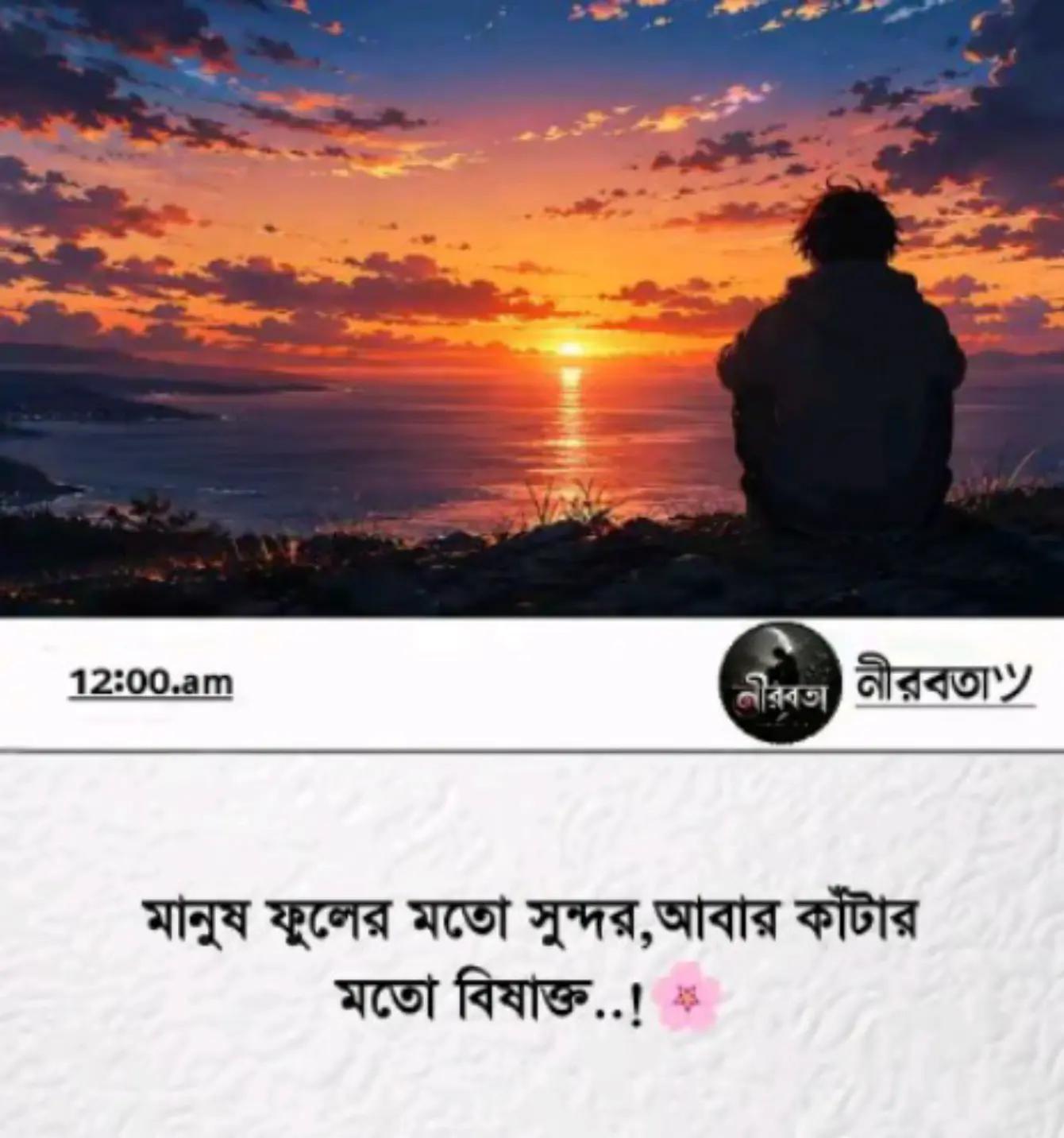 @Saiko Boy