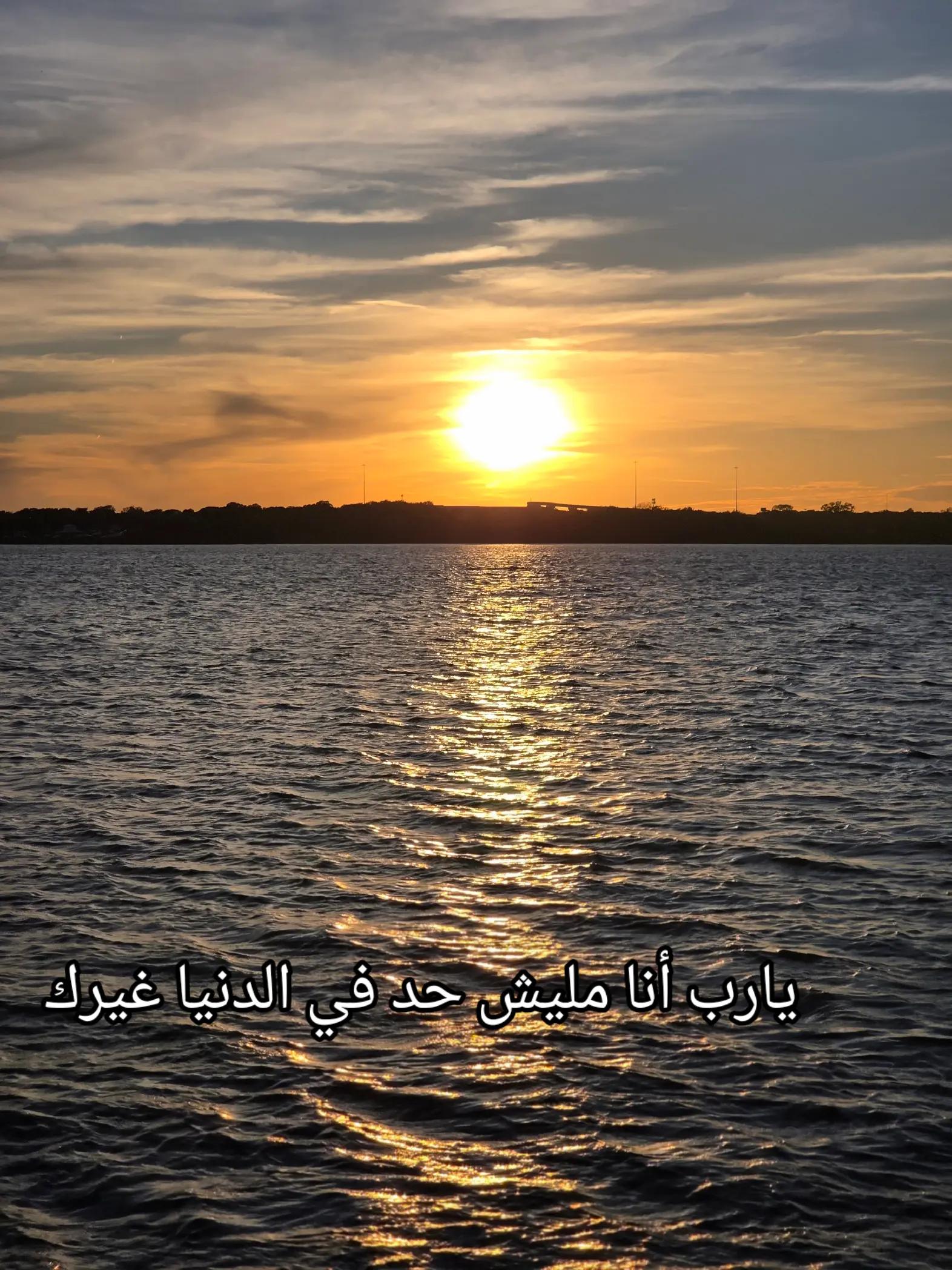 @فادي المصري