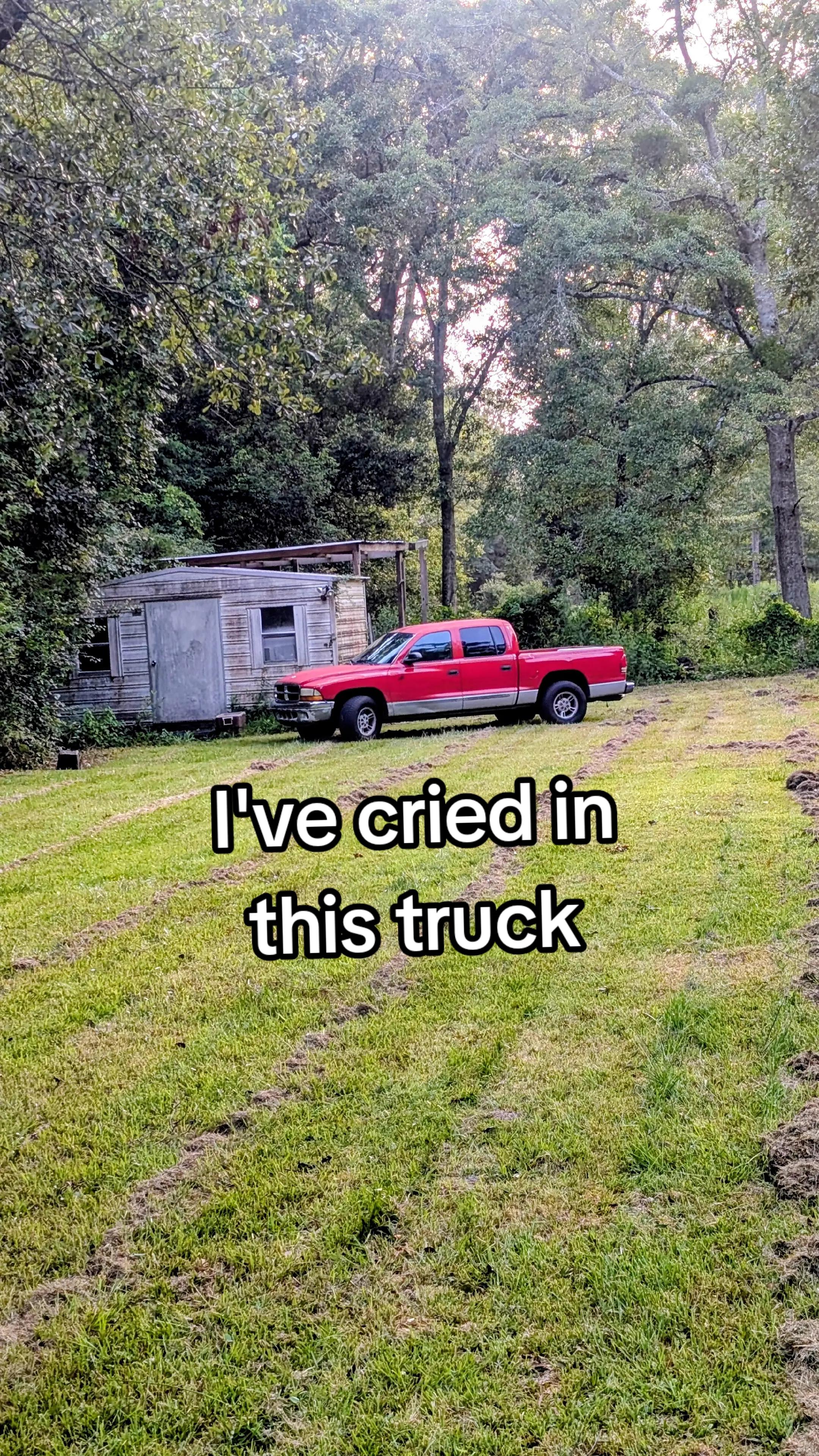 @wiredsquirrel13