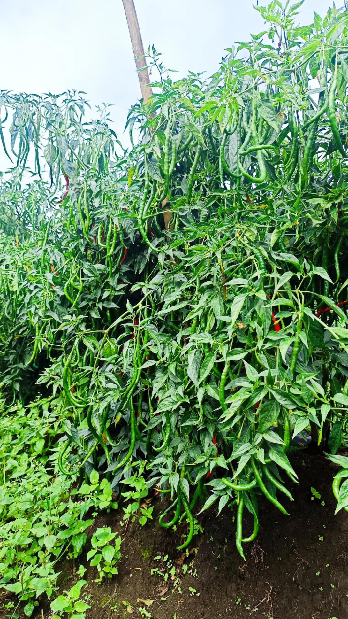 @m🅰️rtin