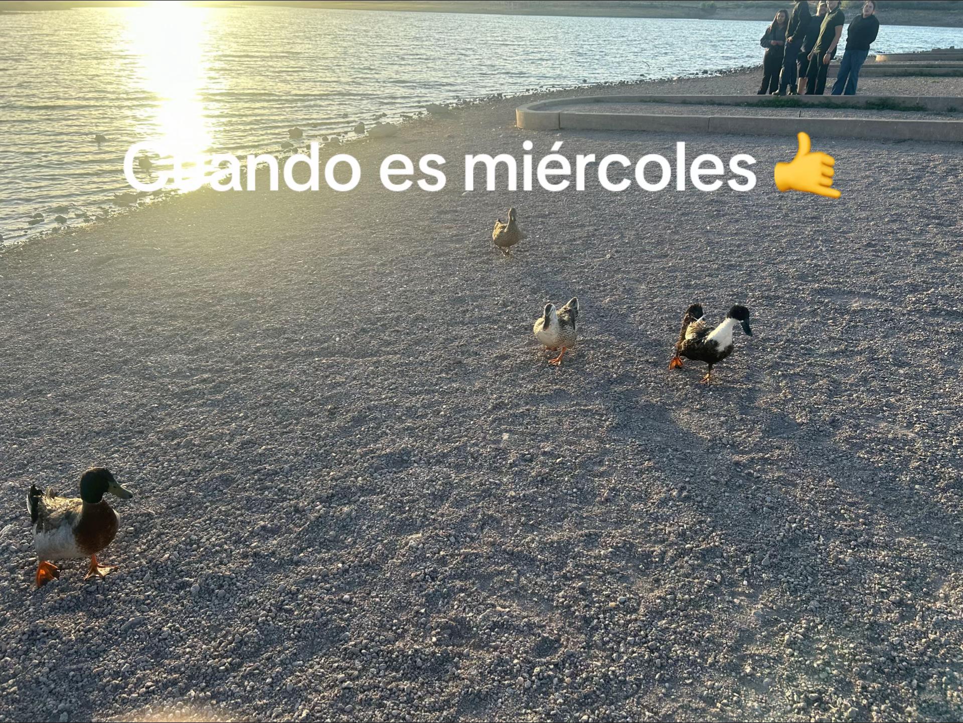 @★&dagger;&laquo;&laquo;★jackito0789★&raquo;&raquo;&dagger;★