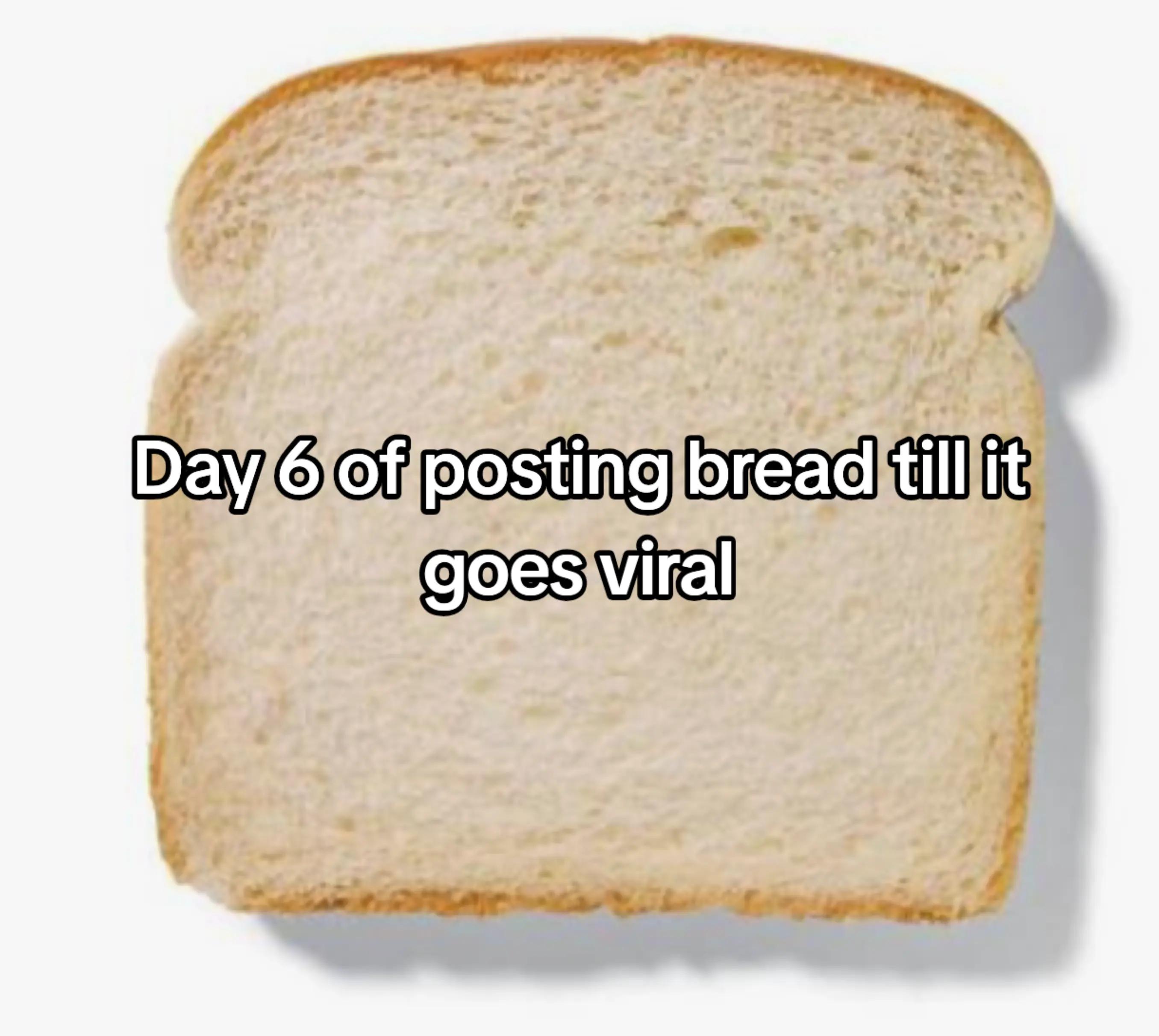 @hi