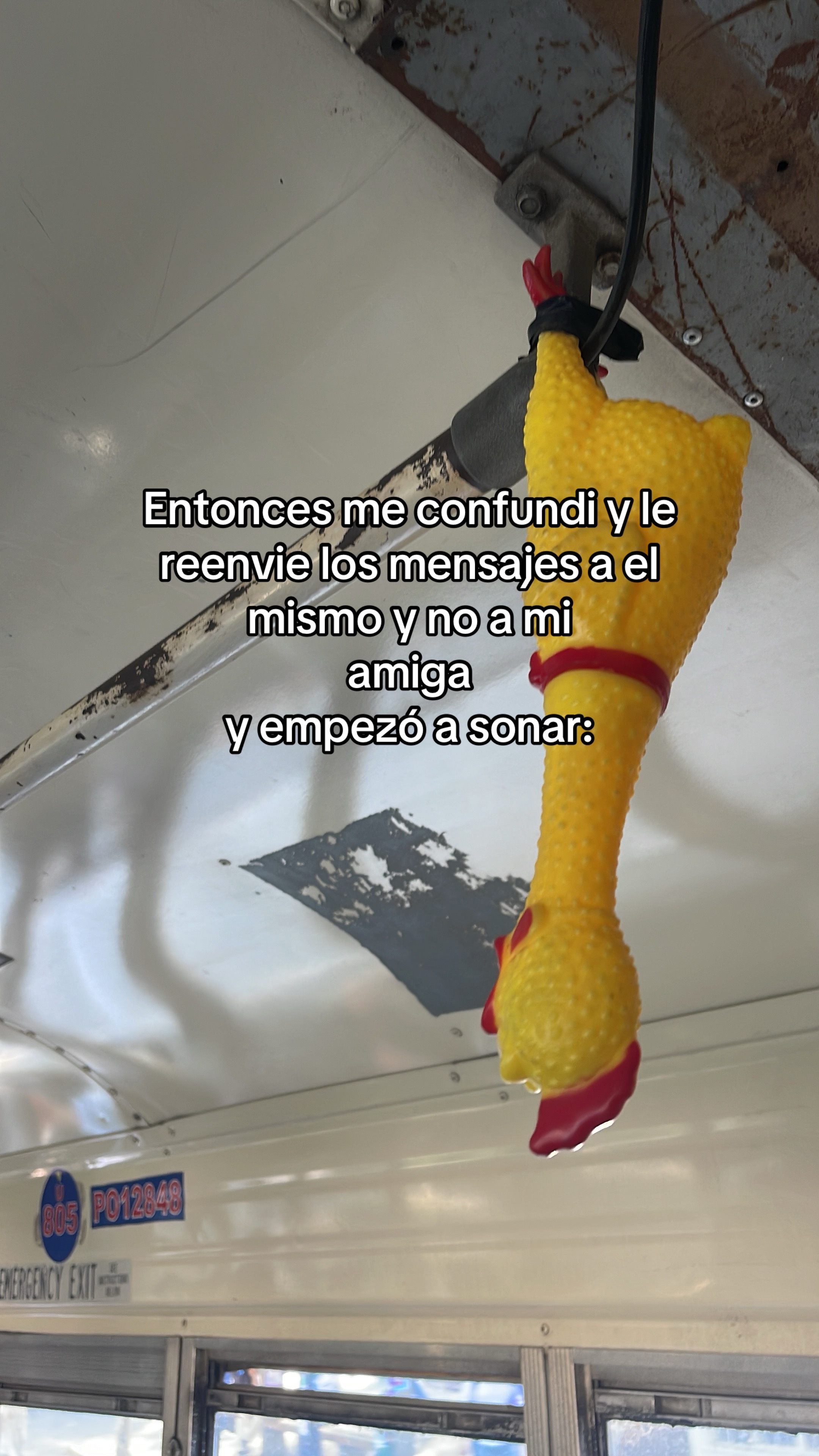 @Erika Diaz🧚🏻♀️✨