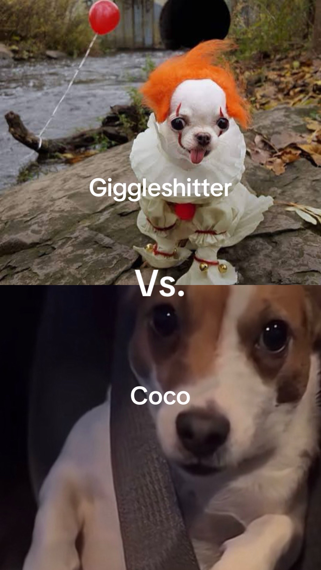 @โ๐.