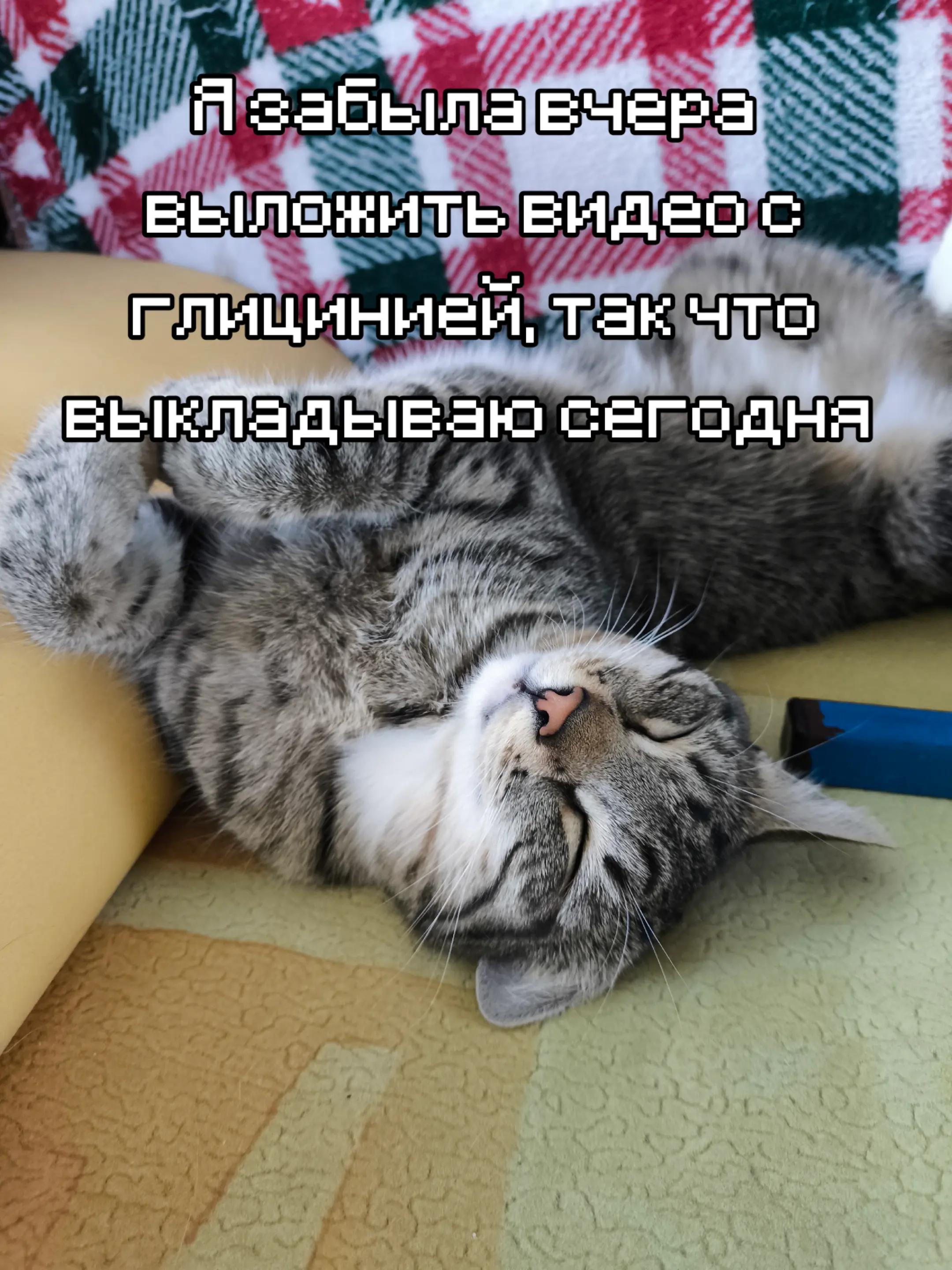 @Дрелька [nu]