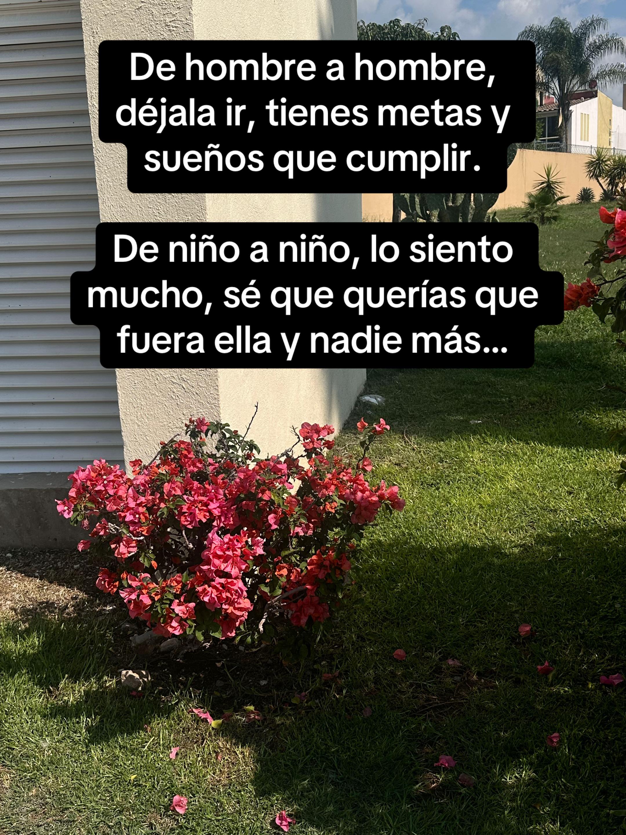 @Héctor Escalante