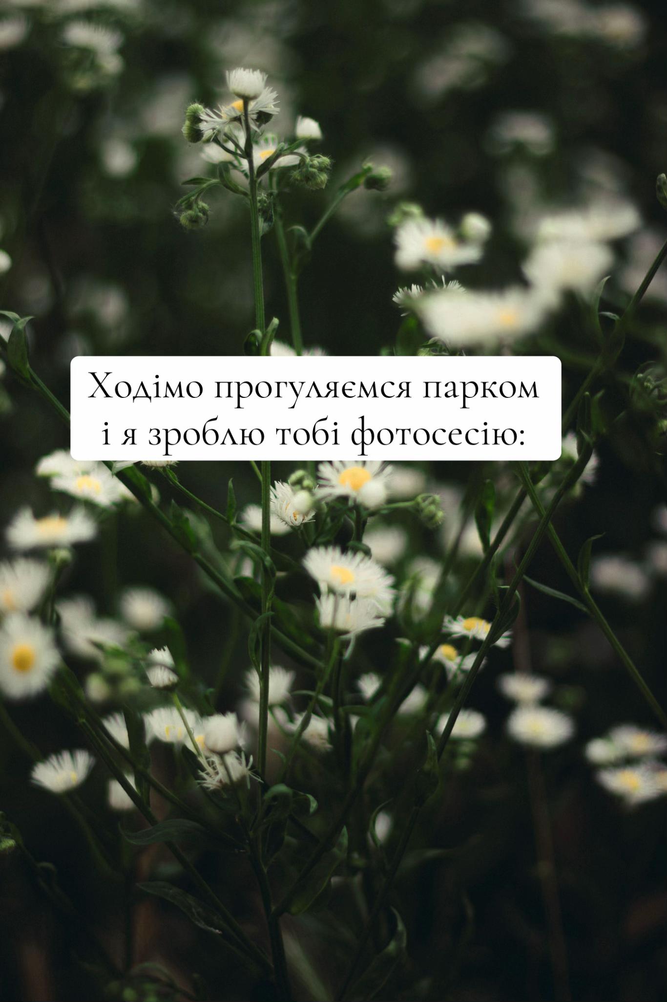 @zolota.photo
