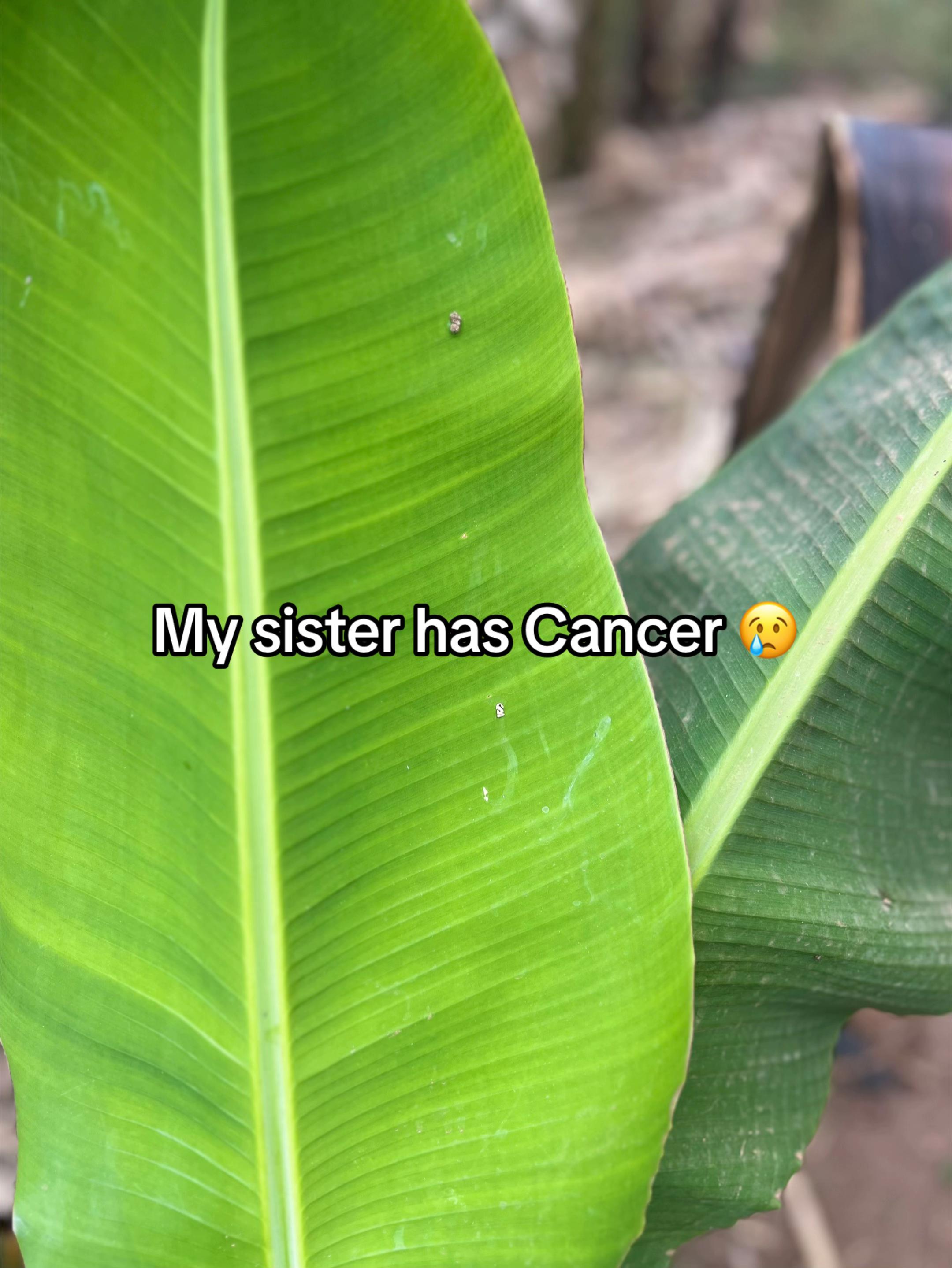 @Save Jovia from Cancer 🎗️
