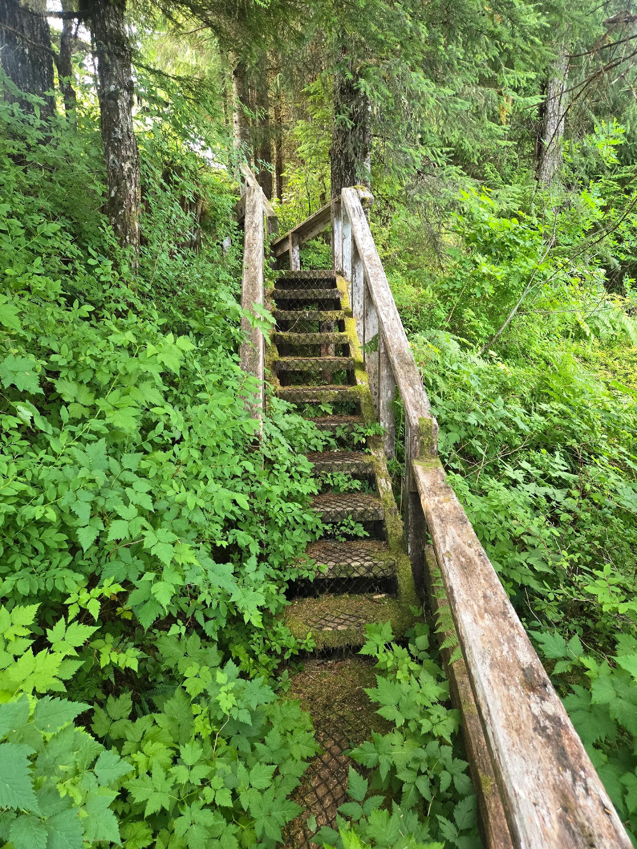 @Alaska's jim stone living wild