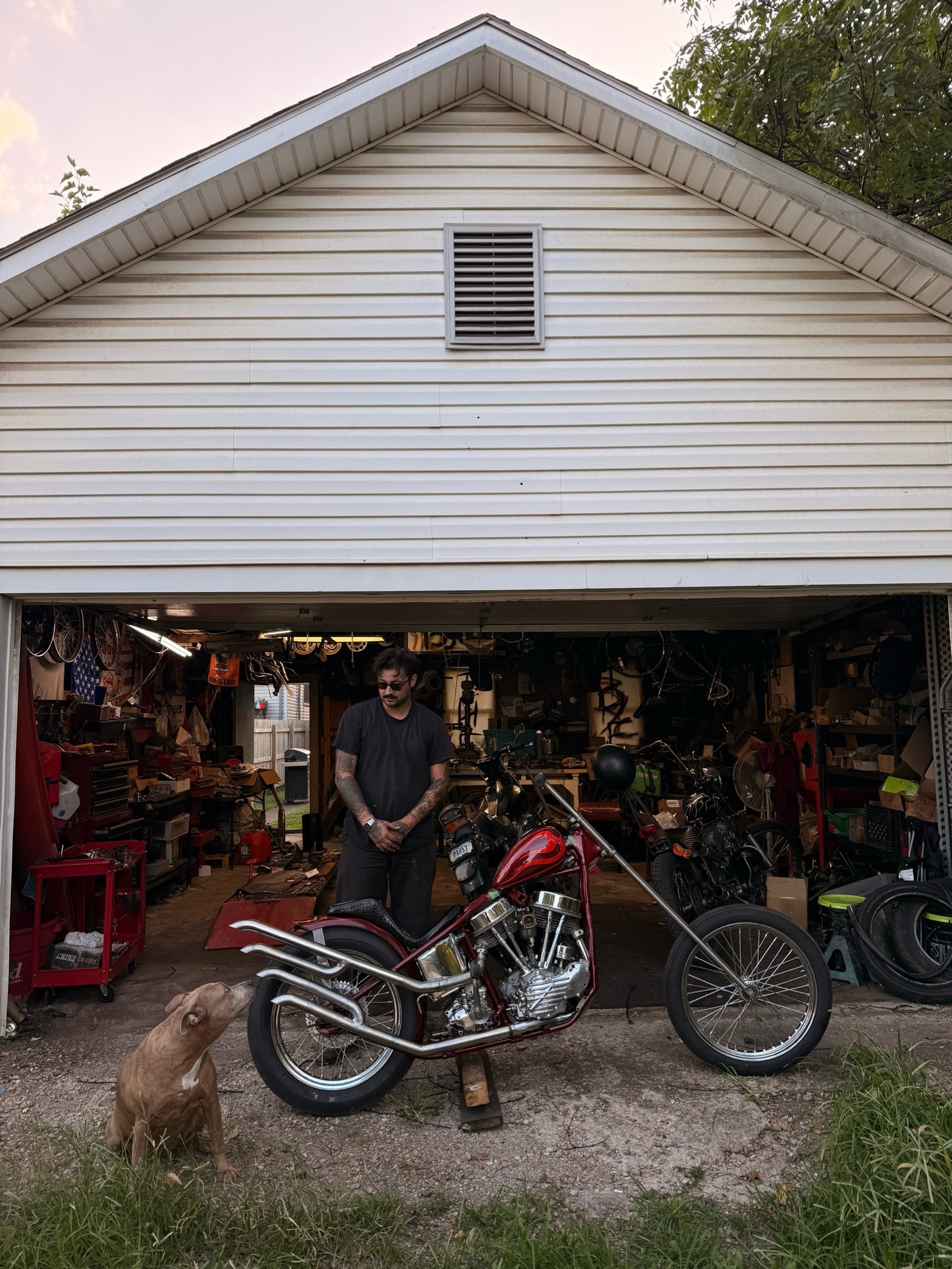 @Boneyard Gnat